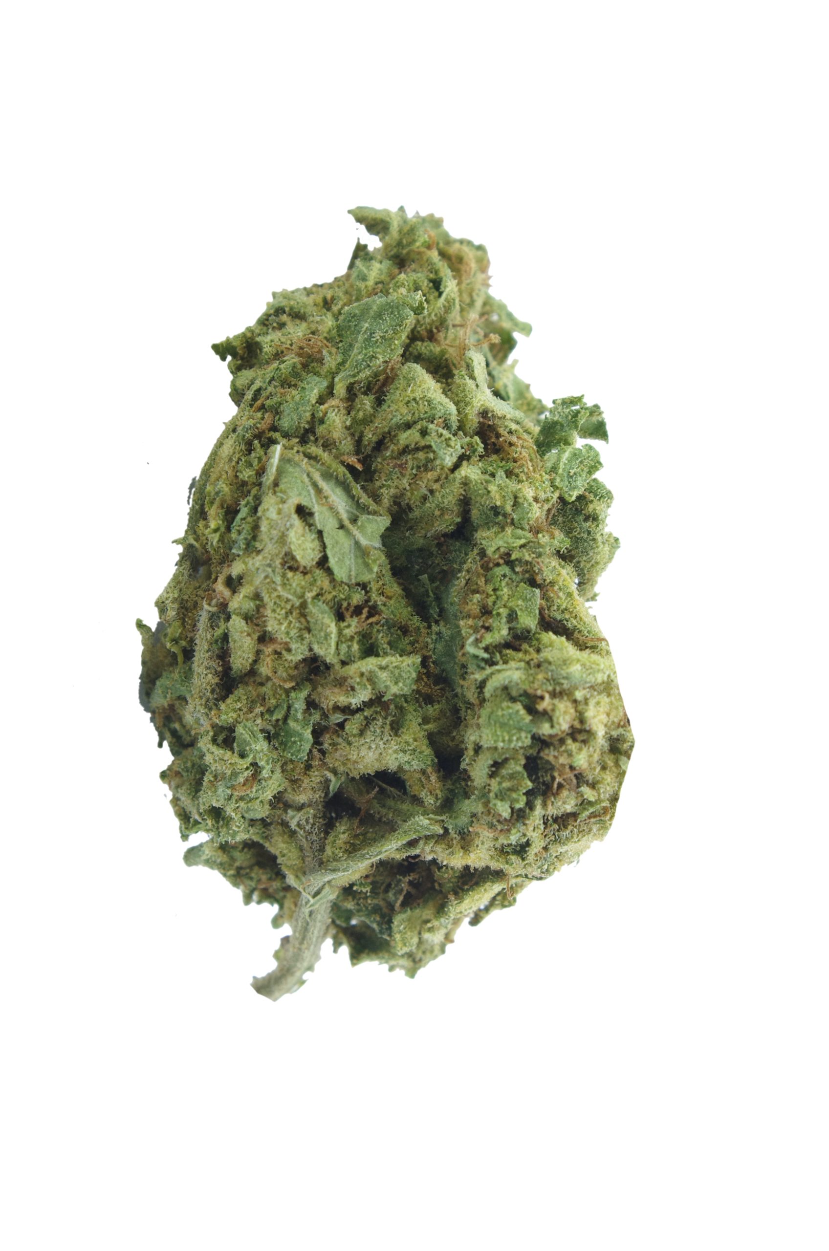 Blueberry AK (Oz Special) All Strains anti-anxiety Blueberry AK (Oz Special) All Strains anti-anxiety
