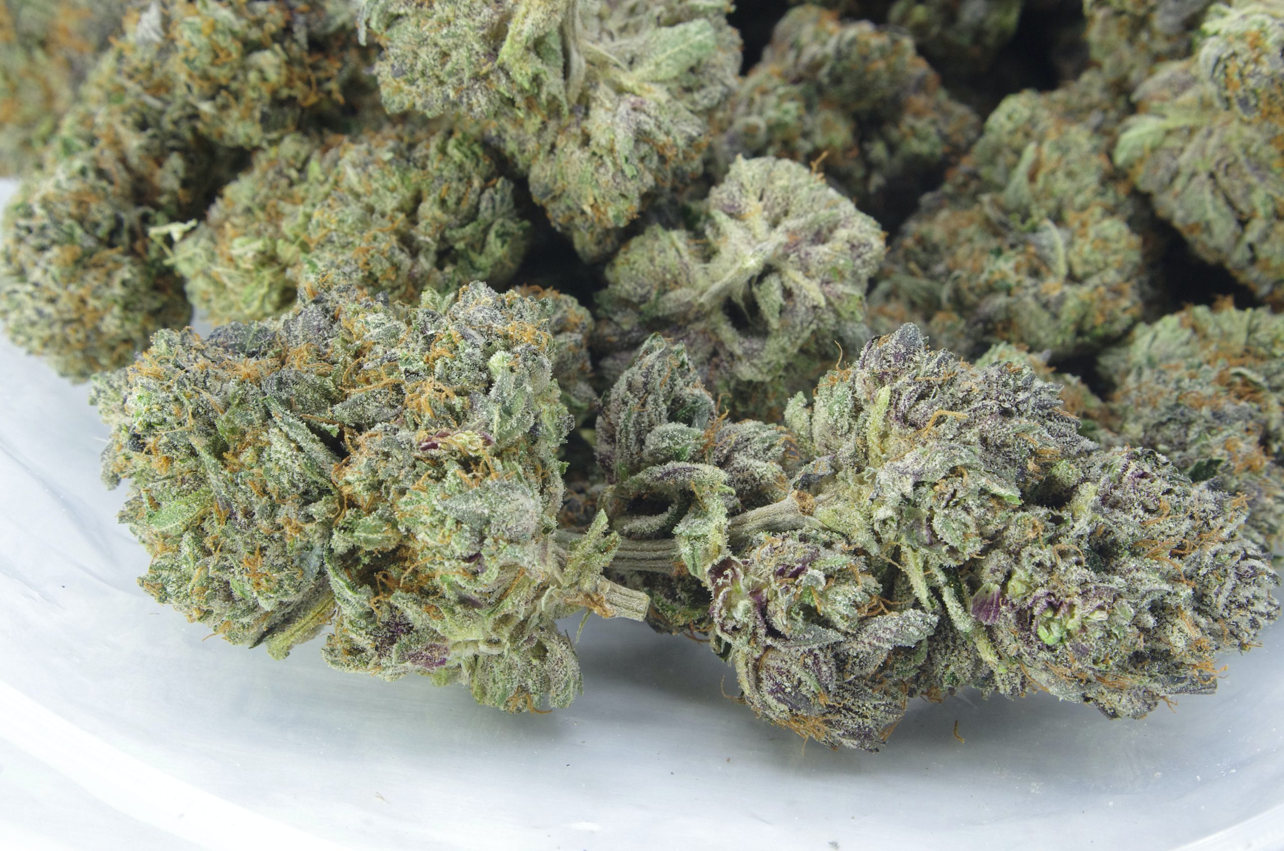 Gas Militia – Black Skunk Indica Gas Militia – Black Skunk Indica
