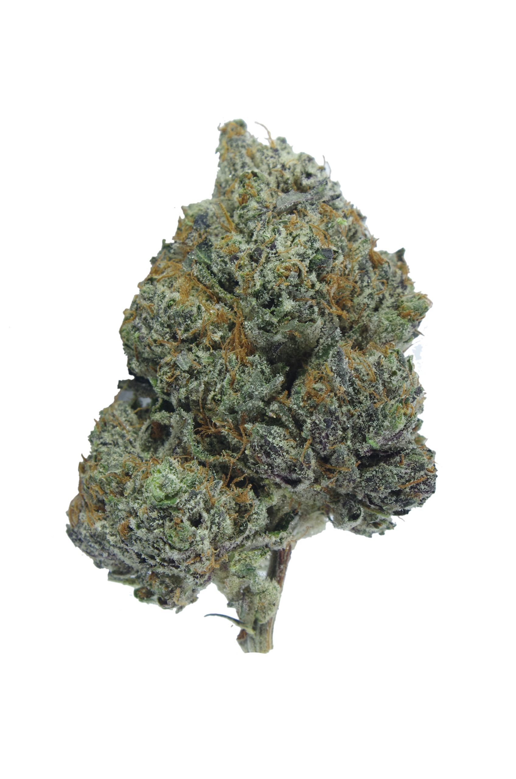 Gas Militia – Black Skunk Indica Gas Militia – Black Skunk Indica