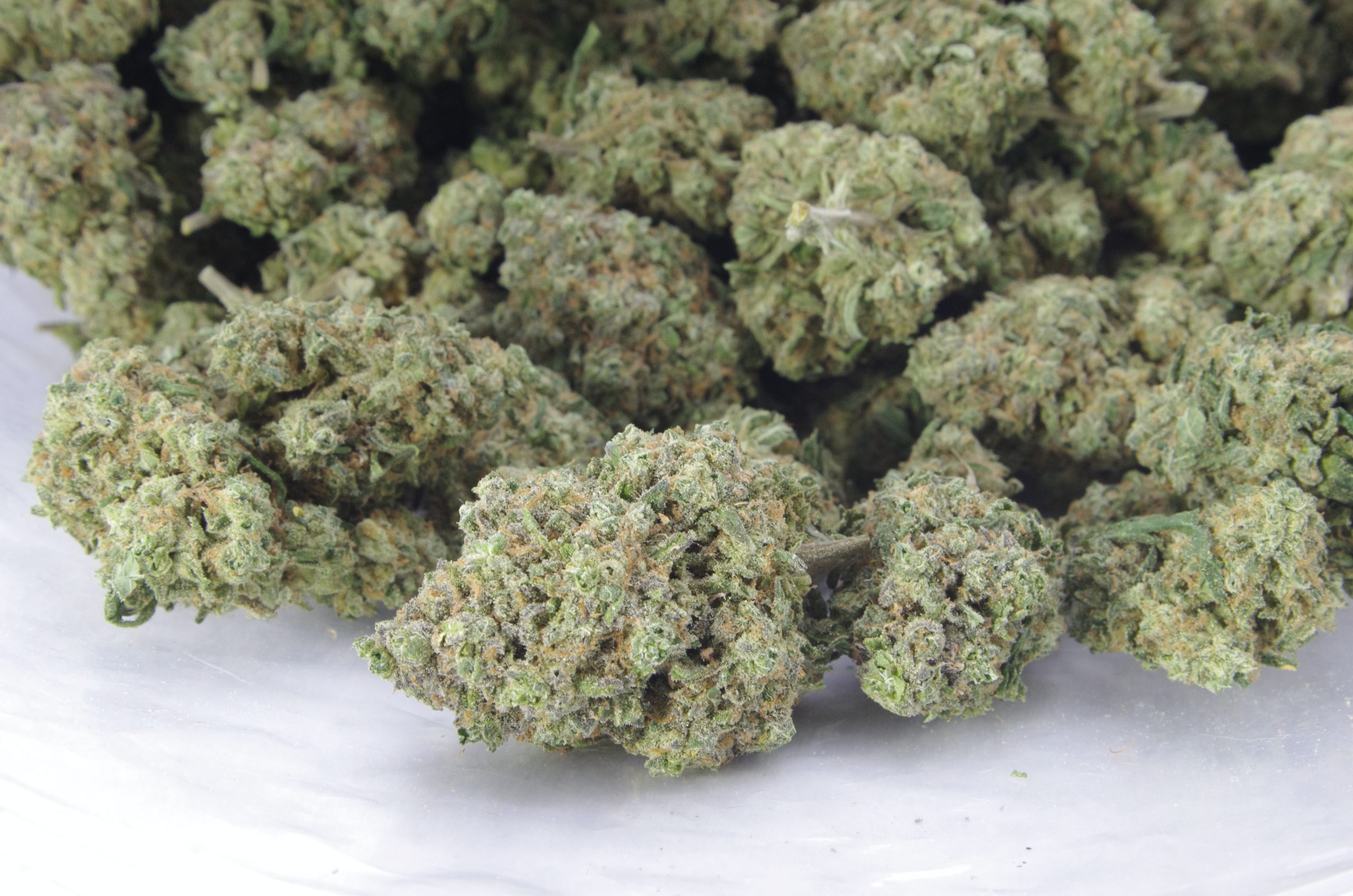 Ice Cream Dream (Oz Special) All Strains anti-anxiety Ice Cream Dream (Oz Special) All Strains anti-anxiety