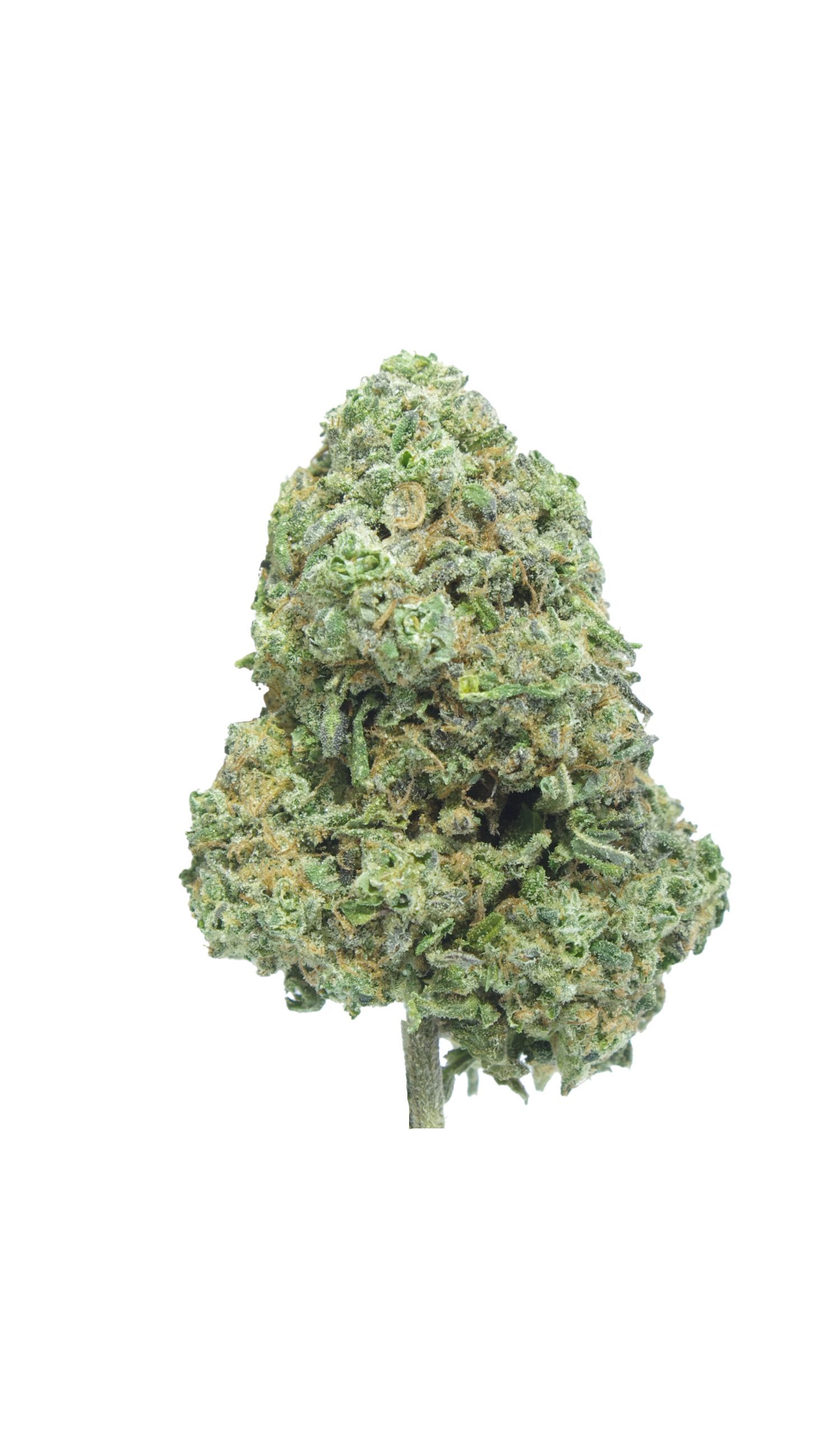 Ice Cream Dream (Oz Special) All Strains anti-anxiety Ice Cream Dream (Oz Special) All Strains anti-anxiety