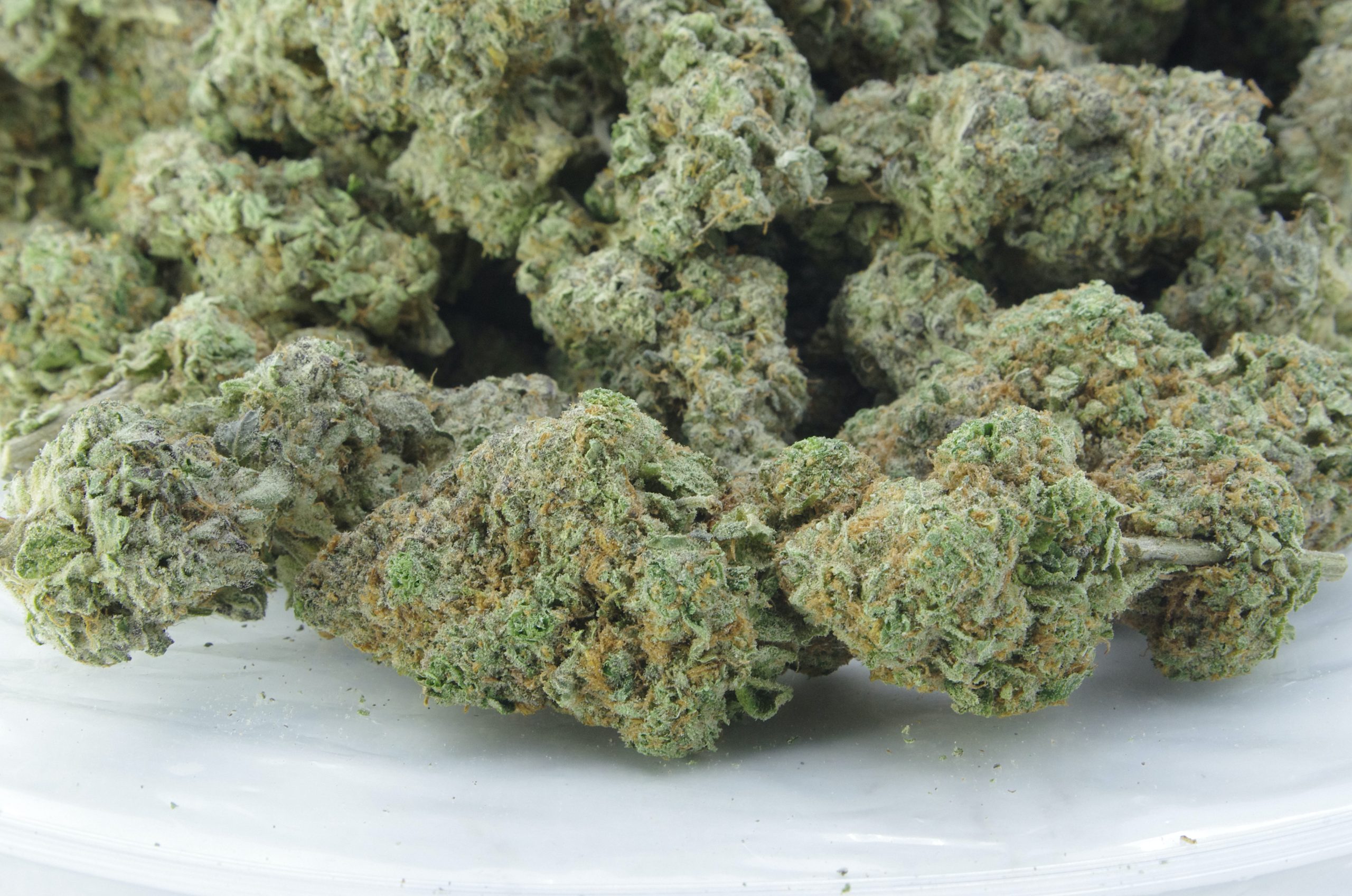 Lemon Brulee (Oz Special) All Strains anti-anxiety Lemon Brulee (Oz Special) All Strains anti-anxiety