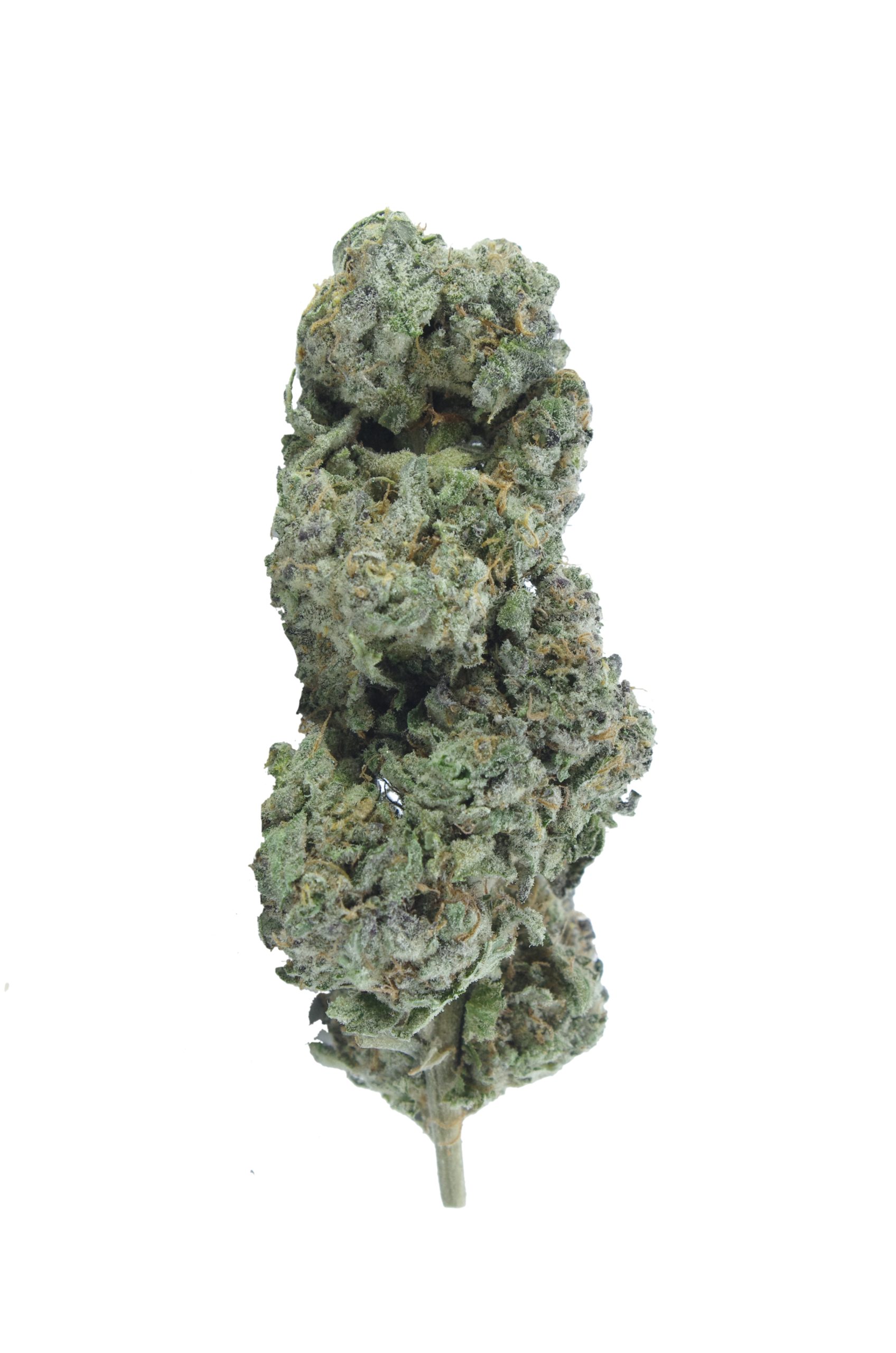 Lemon Brulee (Oz Special) All Strains anti-anxiety Lemon Brulee (Oz Special) All Strains anti-anxiety
