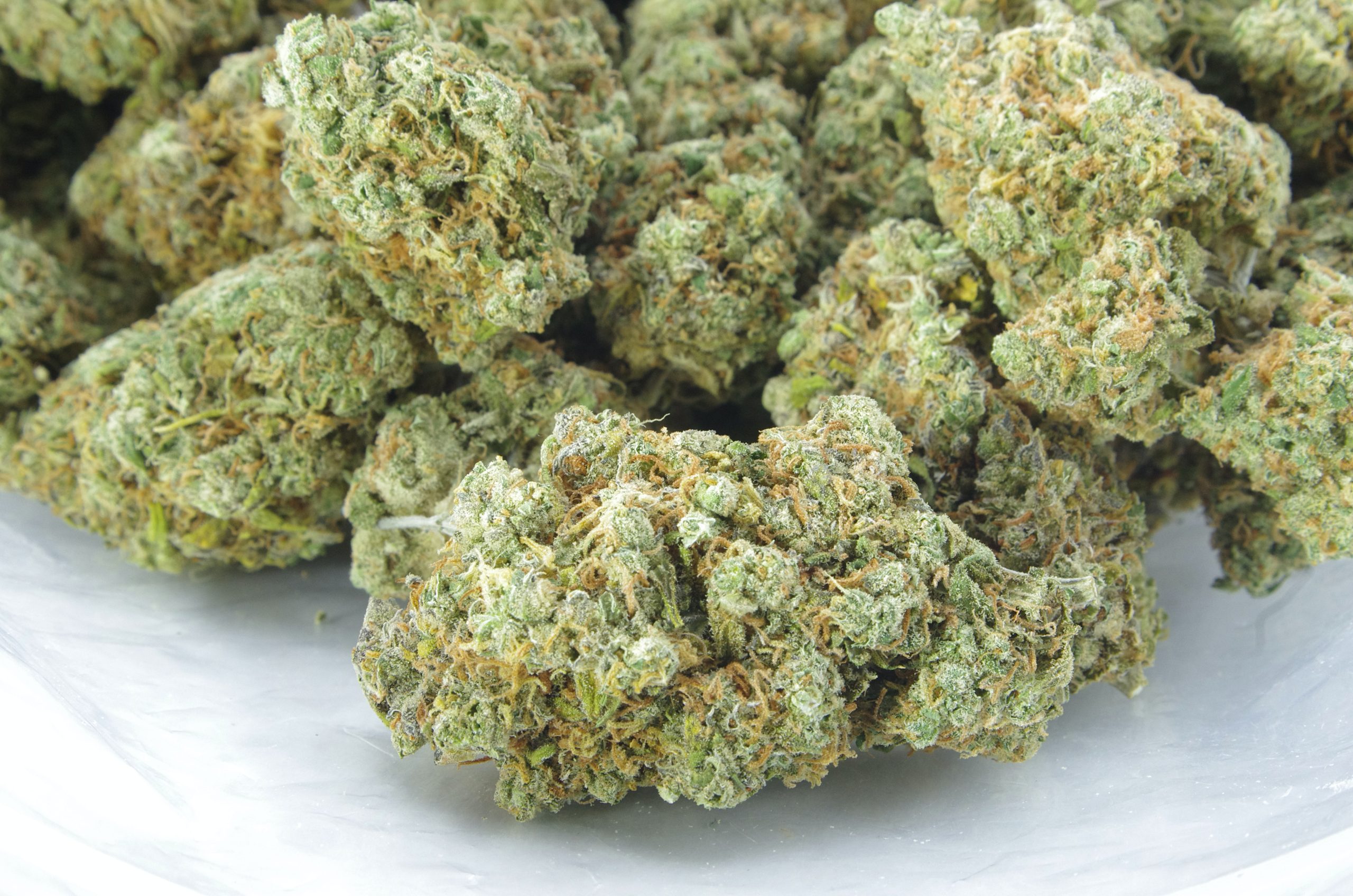 Mango Peyote (Oz Special) All Strains anti-anxiety Mango Peyote (Oz Special) All Strains anti-anxiety