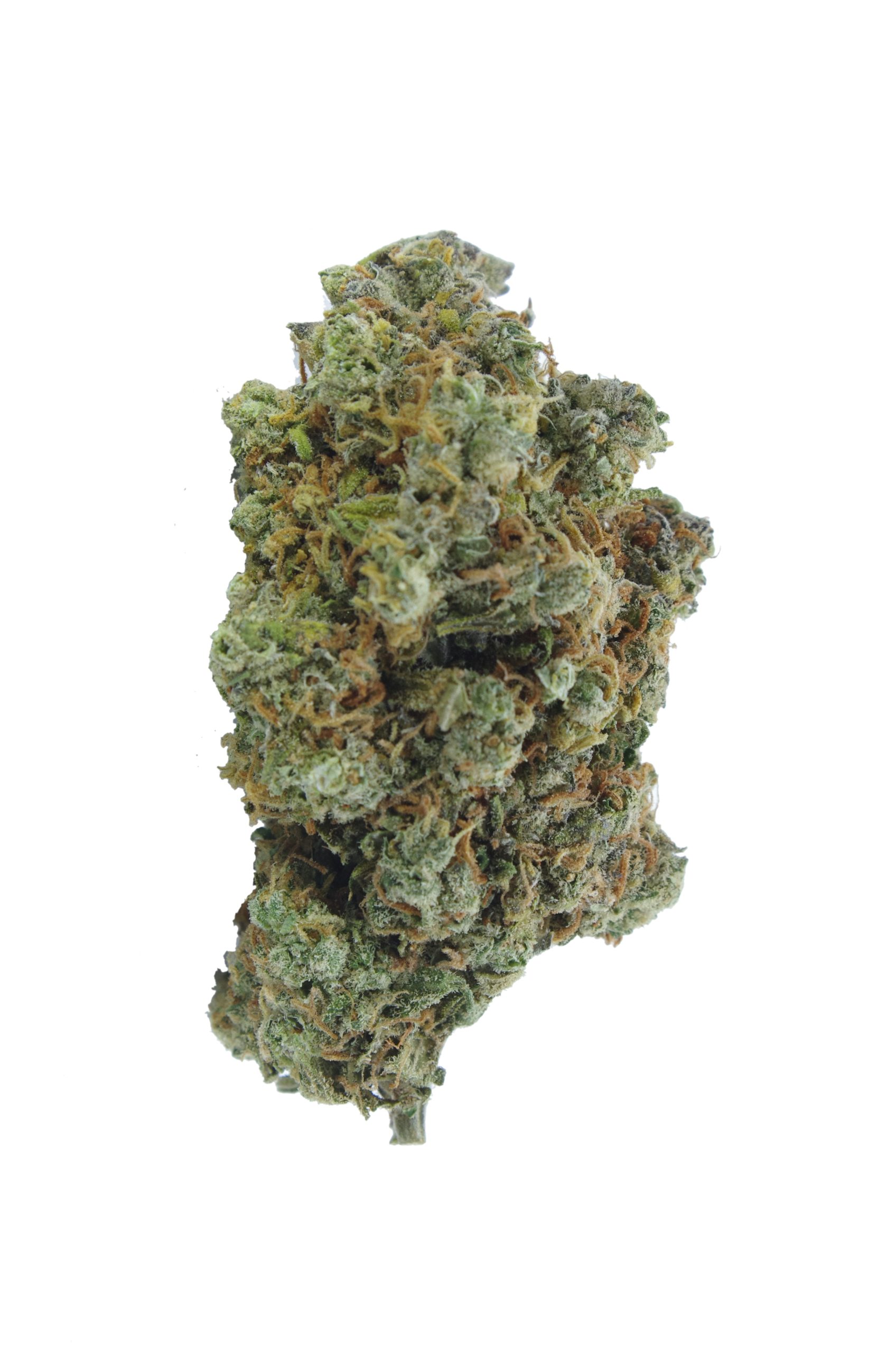 Mango Peyote (Oz Special) All Strains anti-anxiety Mango Peyote (Oz Special) All Strains anti-anxiety