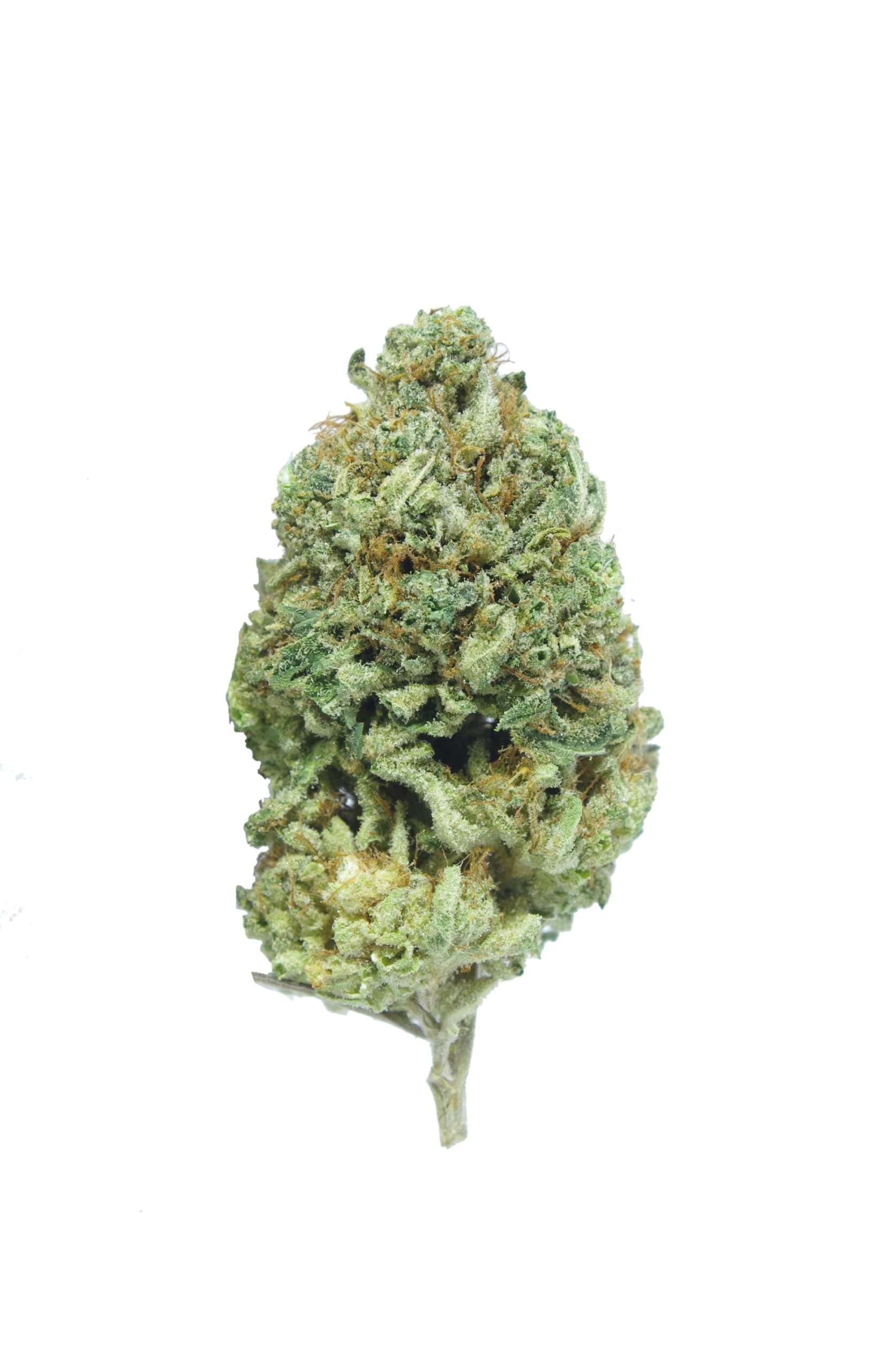 Sunshine Haze (Oz Special) All Strains anti-anxiety Sunshine Haze (Oz Special) All Strains anti-anxiety