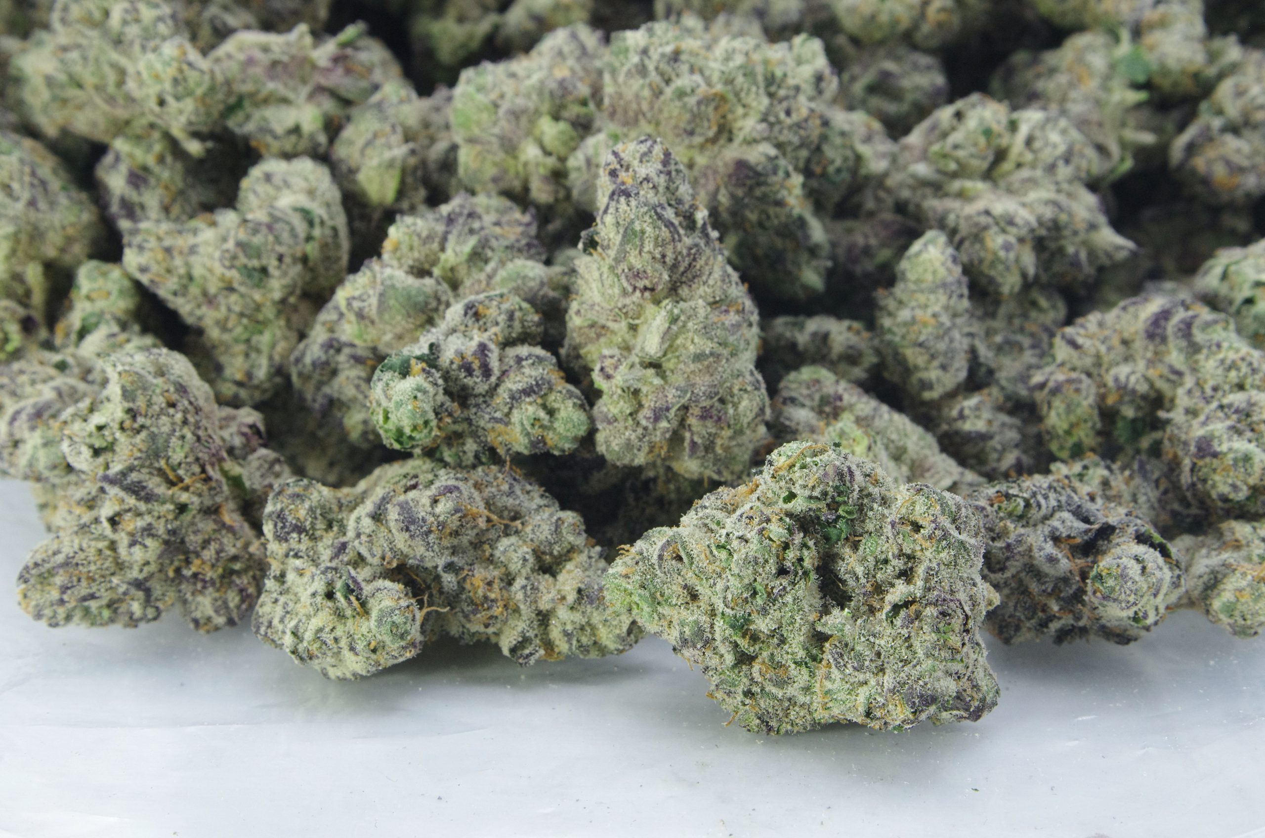 Van Island Exotics – Grape Gasoline Indica anti-anxiety Van Island Exotics – Grape Gasoline Indica anti-anxiety