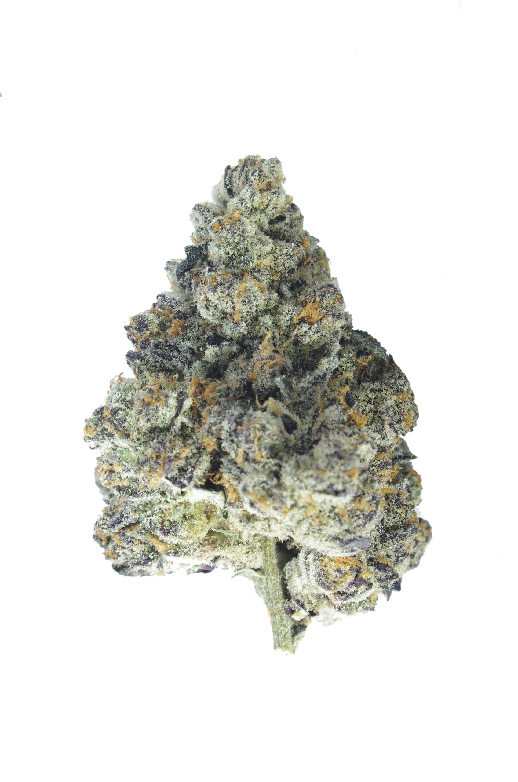 Island Exotics – Tropical Punch All Strains anti-anxiety Island Exotics – Tropical Punch All Strains anti-anxiety