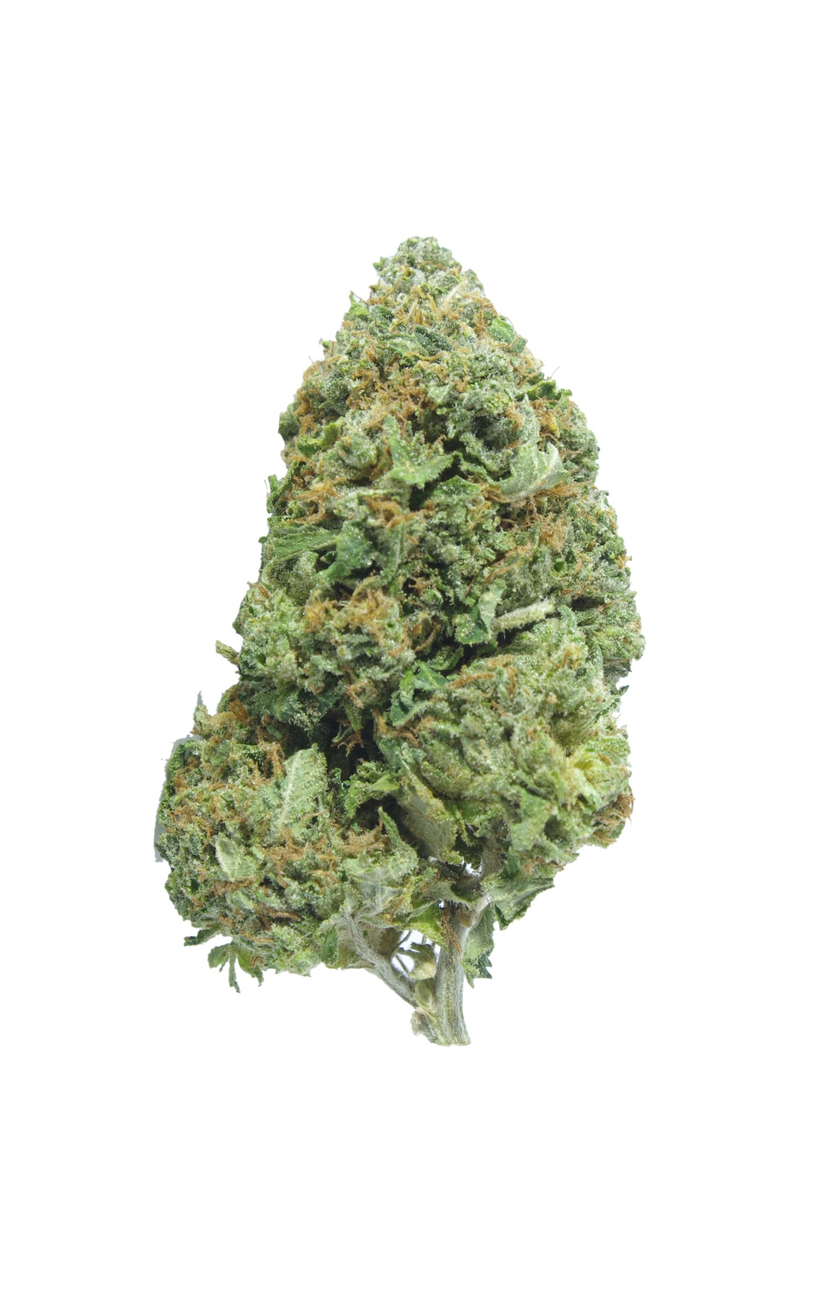 Pinetar (Oz Special) Indica anti-anxiety Pinetar (Oz Special) Indica anti-anxiety
