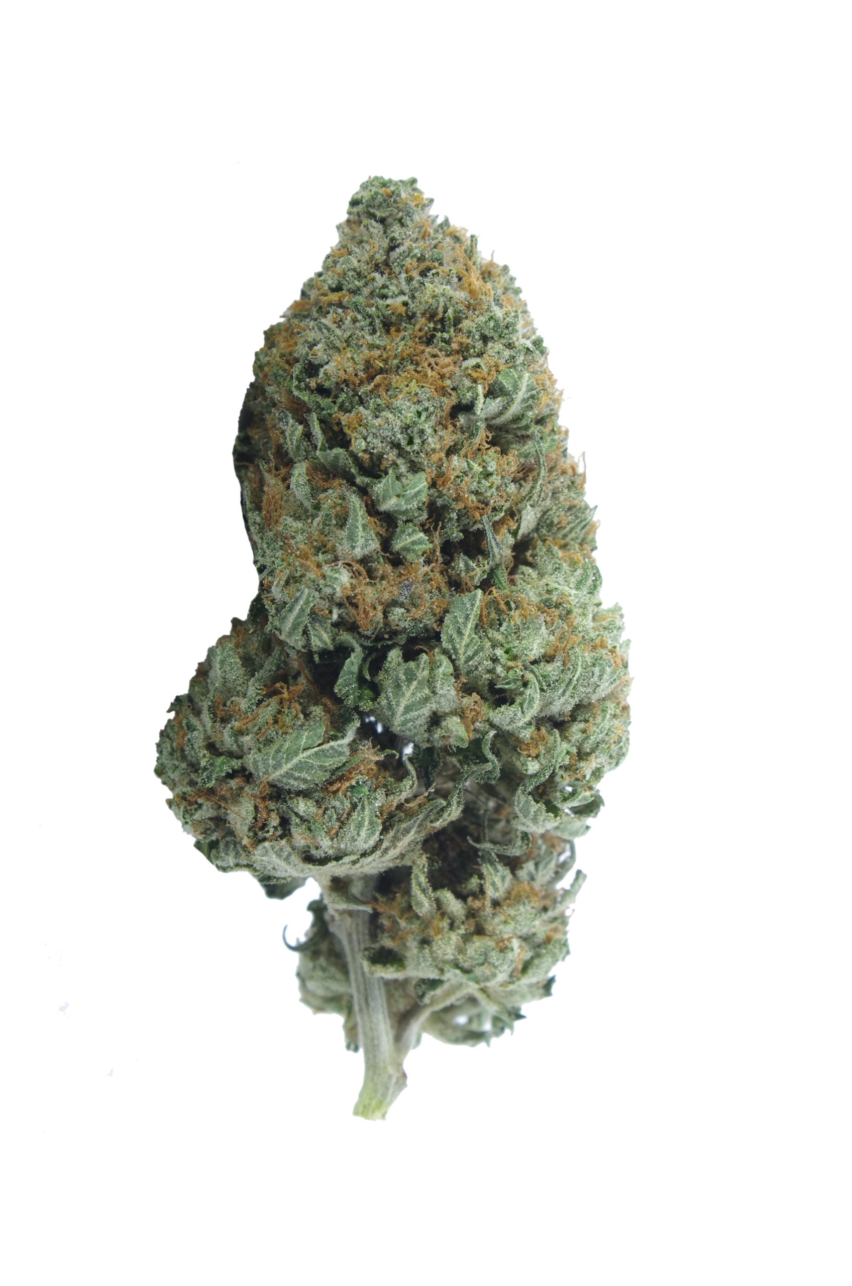 Pink Tuna (Oz Special) Indica anti-anxiety Pink Tuna (Oz Special) Indica anti-anxiety