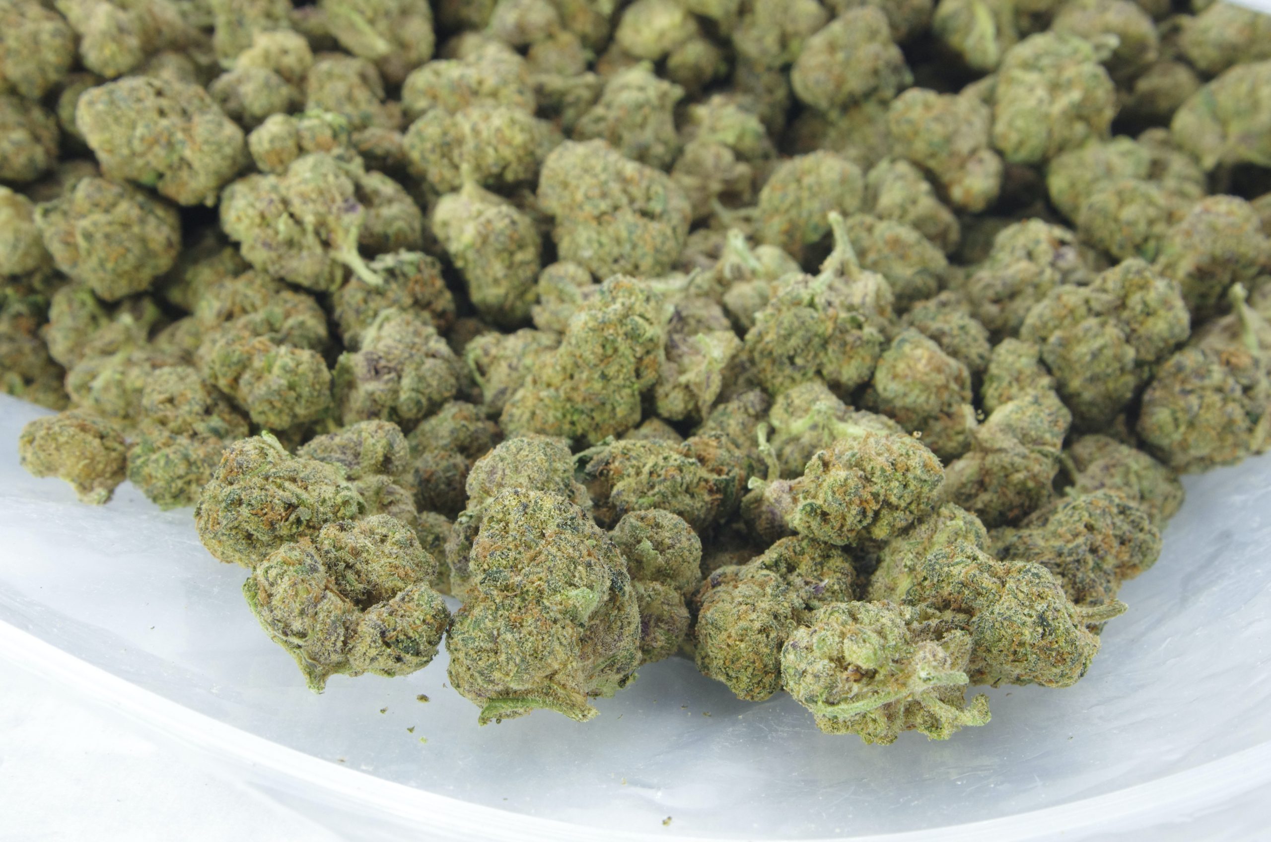 Rose Kush Smalls (Oz Special) All Strains anti-anxiety Rose Kush Smalls (Oz Special) All Strains anti-anxiety