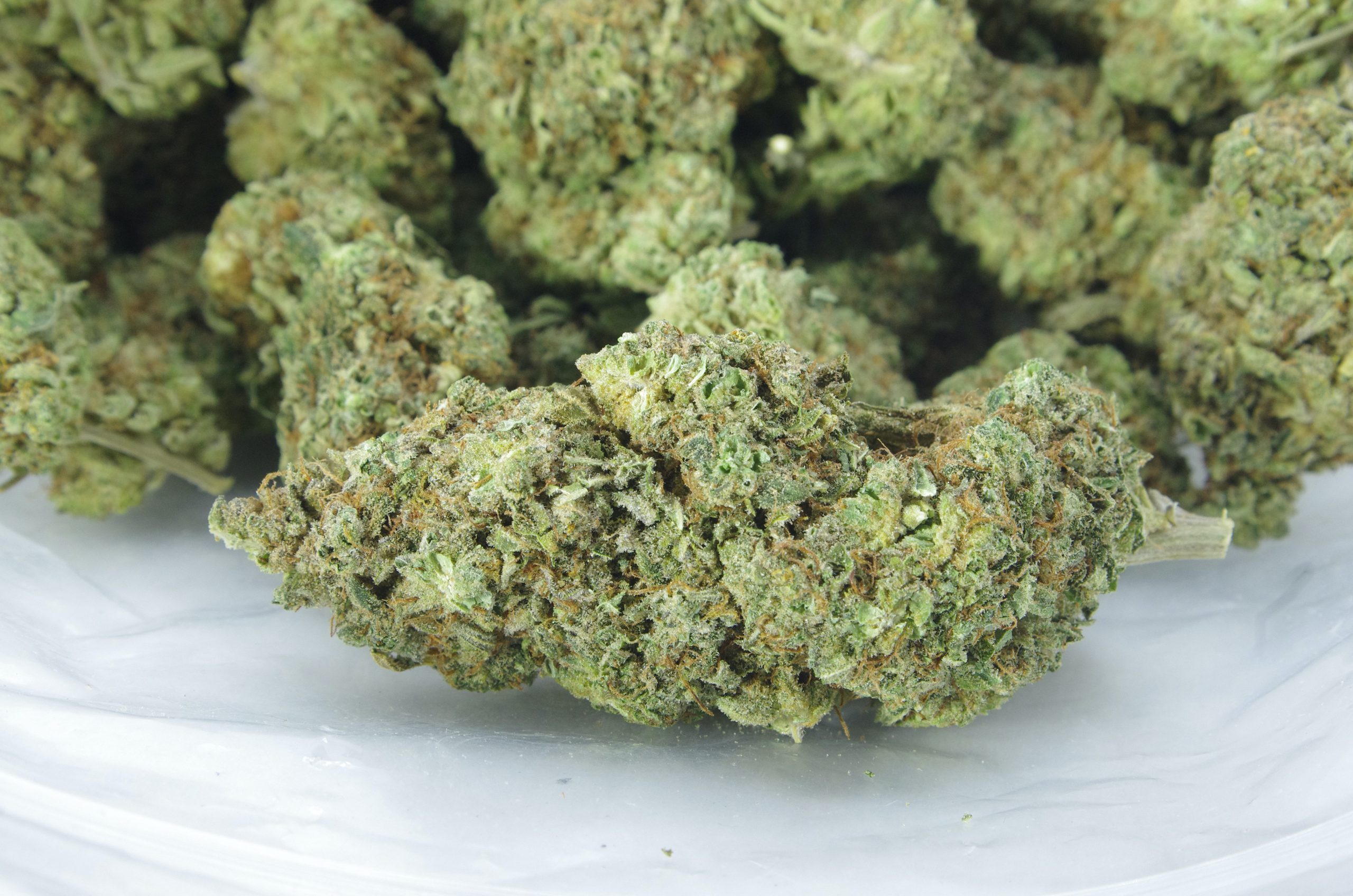 Sunshine Haze (Oz Special) All Strains anti-anxiety Sunshine Haze (Oz Special) All Strains anti-anxiety