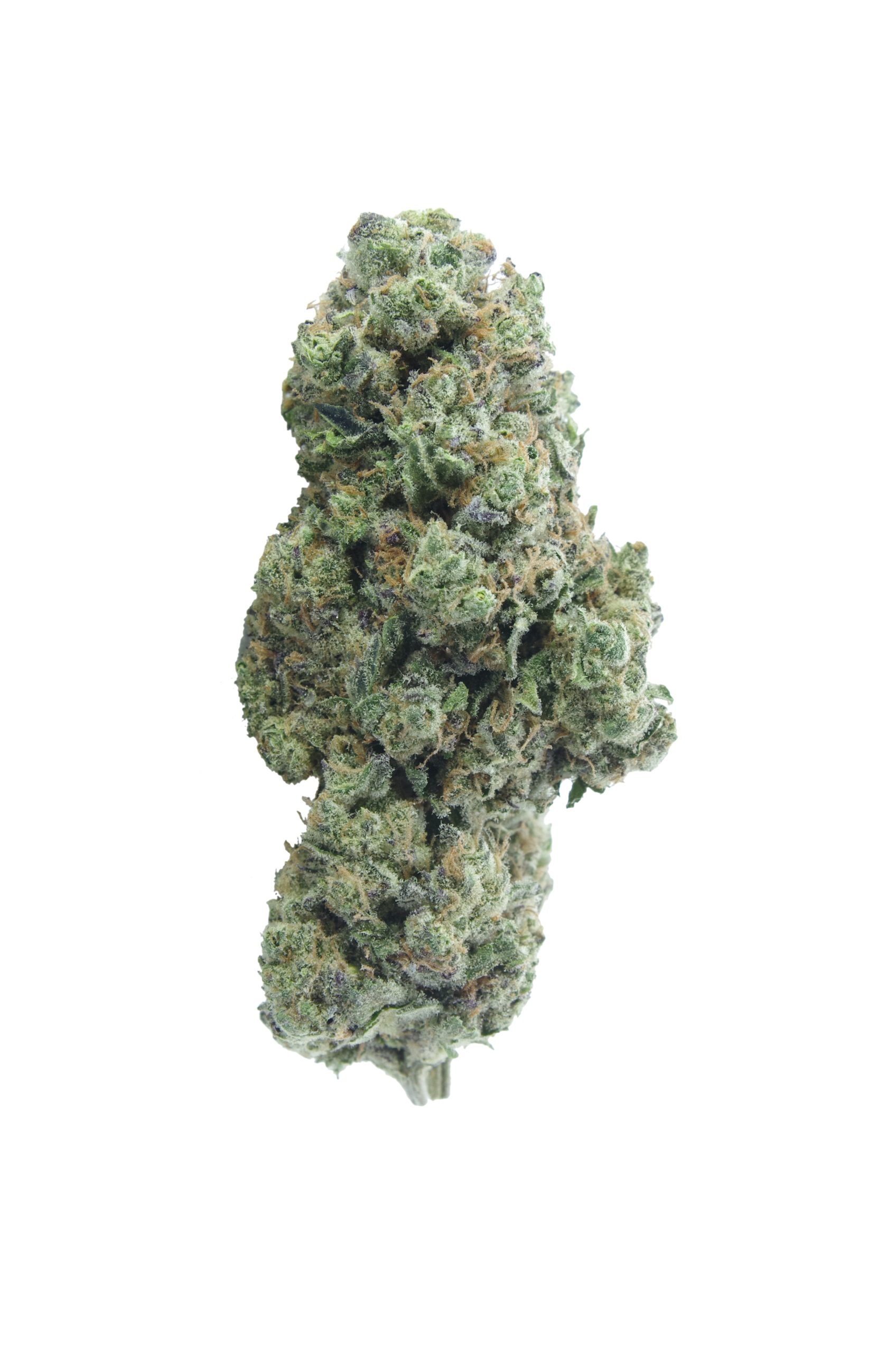 Blue Hawaiian (1/2lb) Bulk anti-anxiety Blue Hawaiian (1/2lb) Bulk anti-anxiety