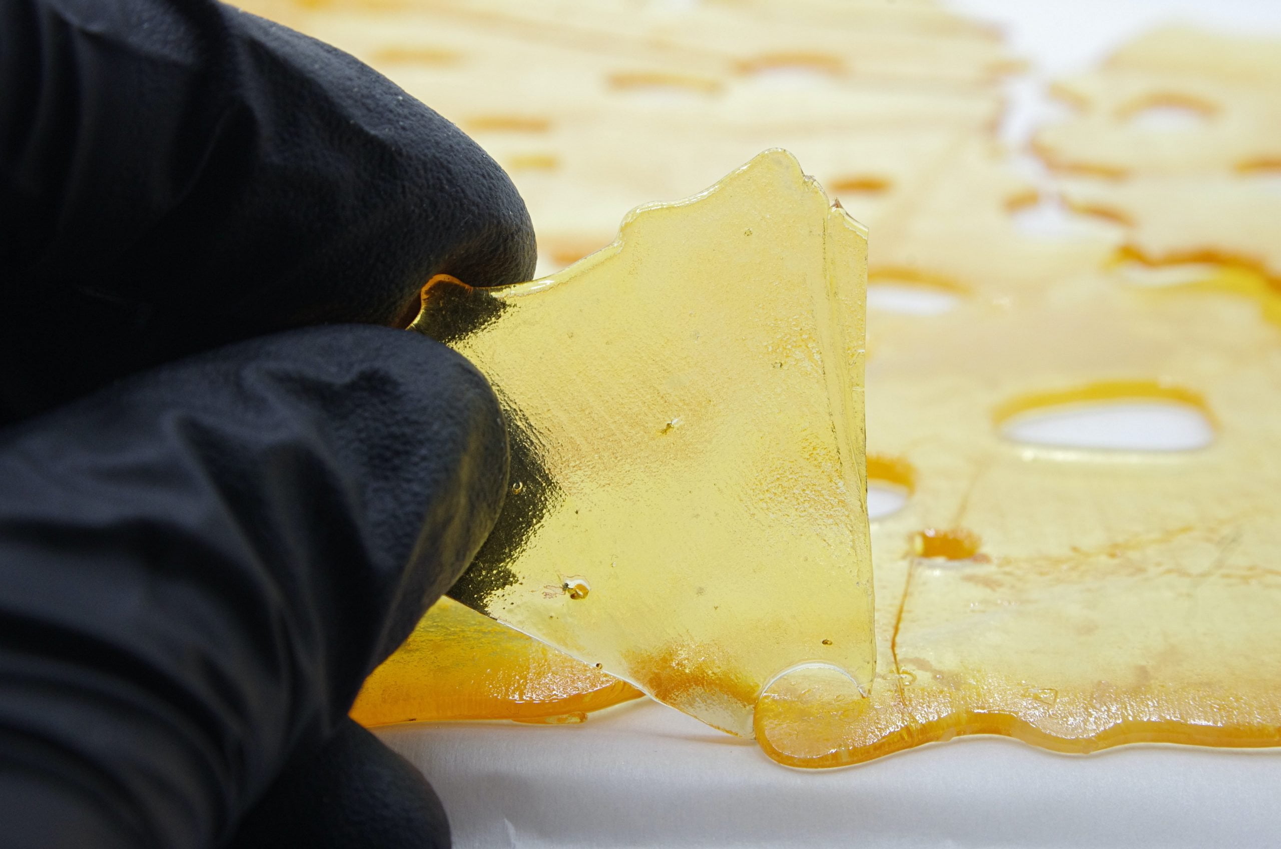 Afghan Kush Shatter Shatter Afghan Kush Shatter Shatter