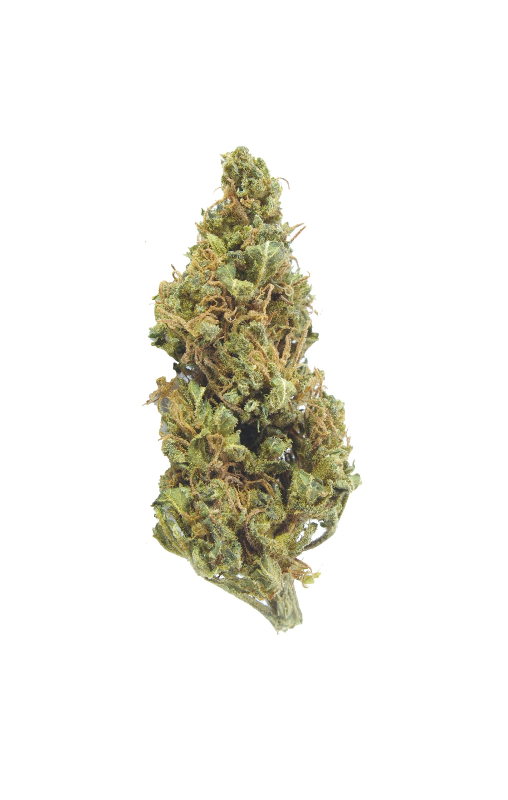 God Bud (Oz Special) Indica anti-anxiety God Bud (Oz Special) Indica anti-anxiety
