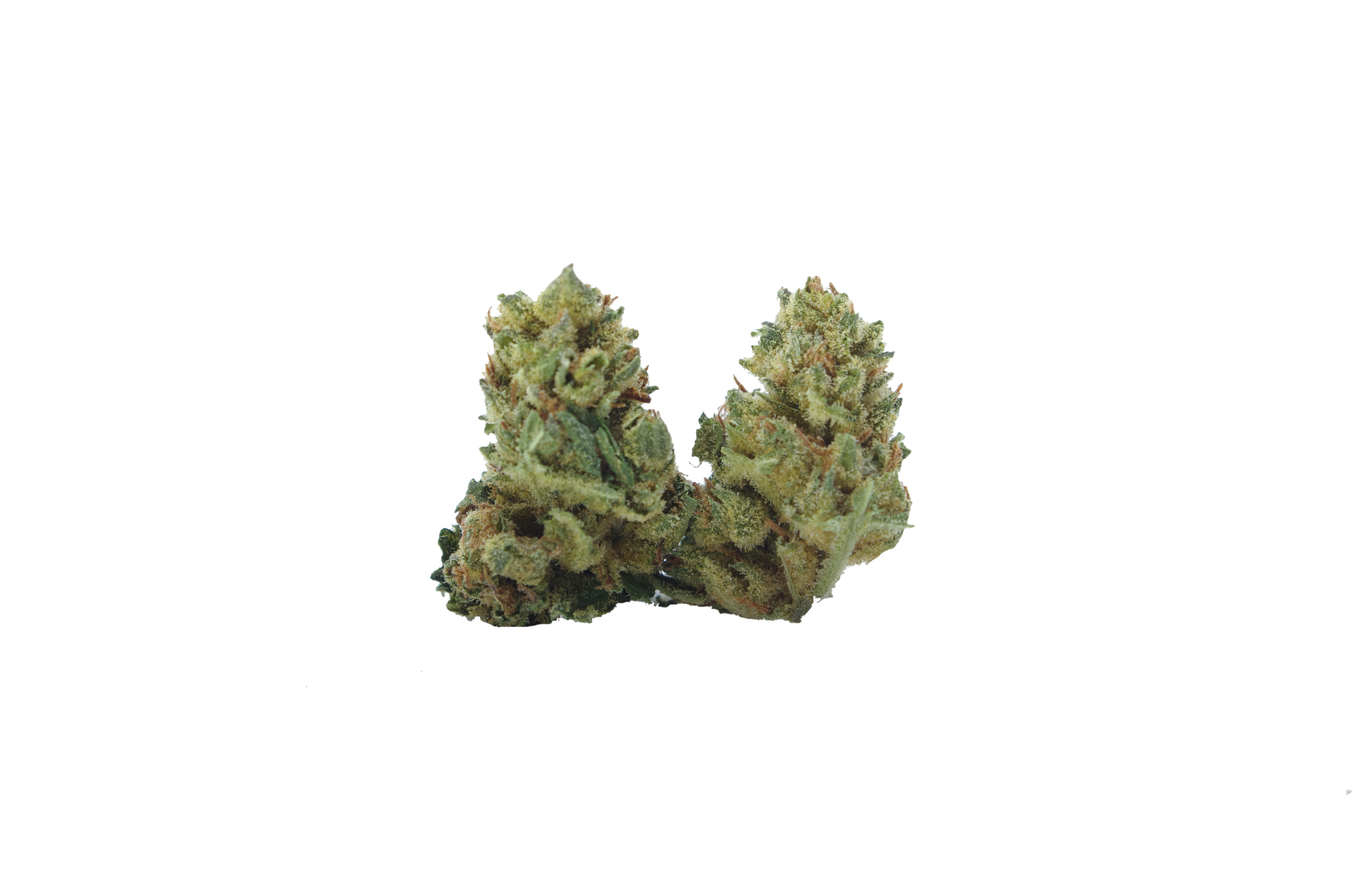 Gorilla Breath Smalls (Oz special) Hybrid anti-anxiety Gorilla Breath Smalls (Oz special) Hybrid anti-anxiety