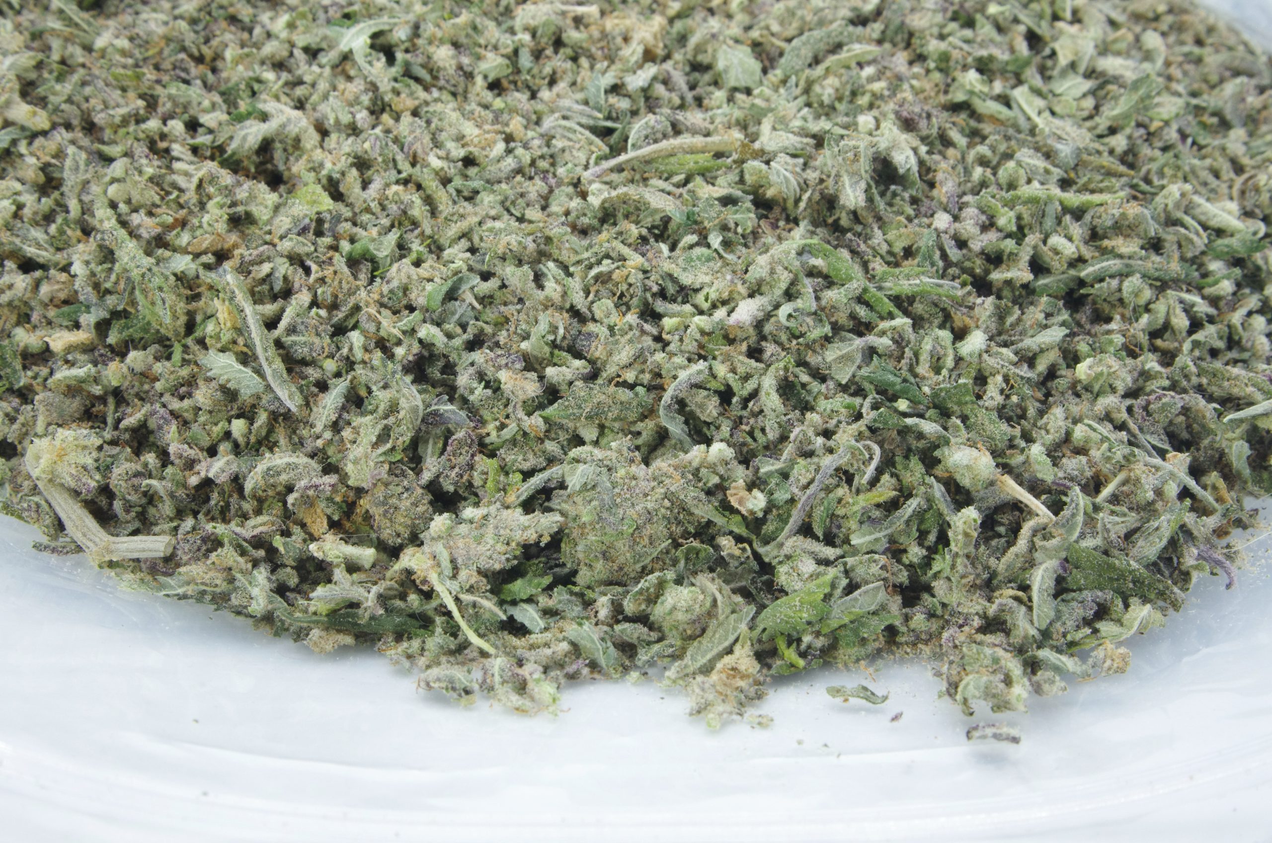 Ice Cream Cake Trim All Strains anti-anxiety Ice Cream Cake Trim All Strains anti-anxiety