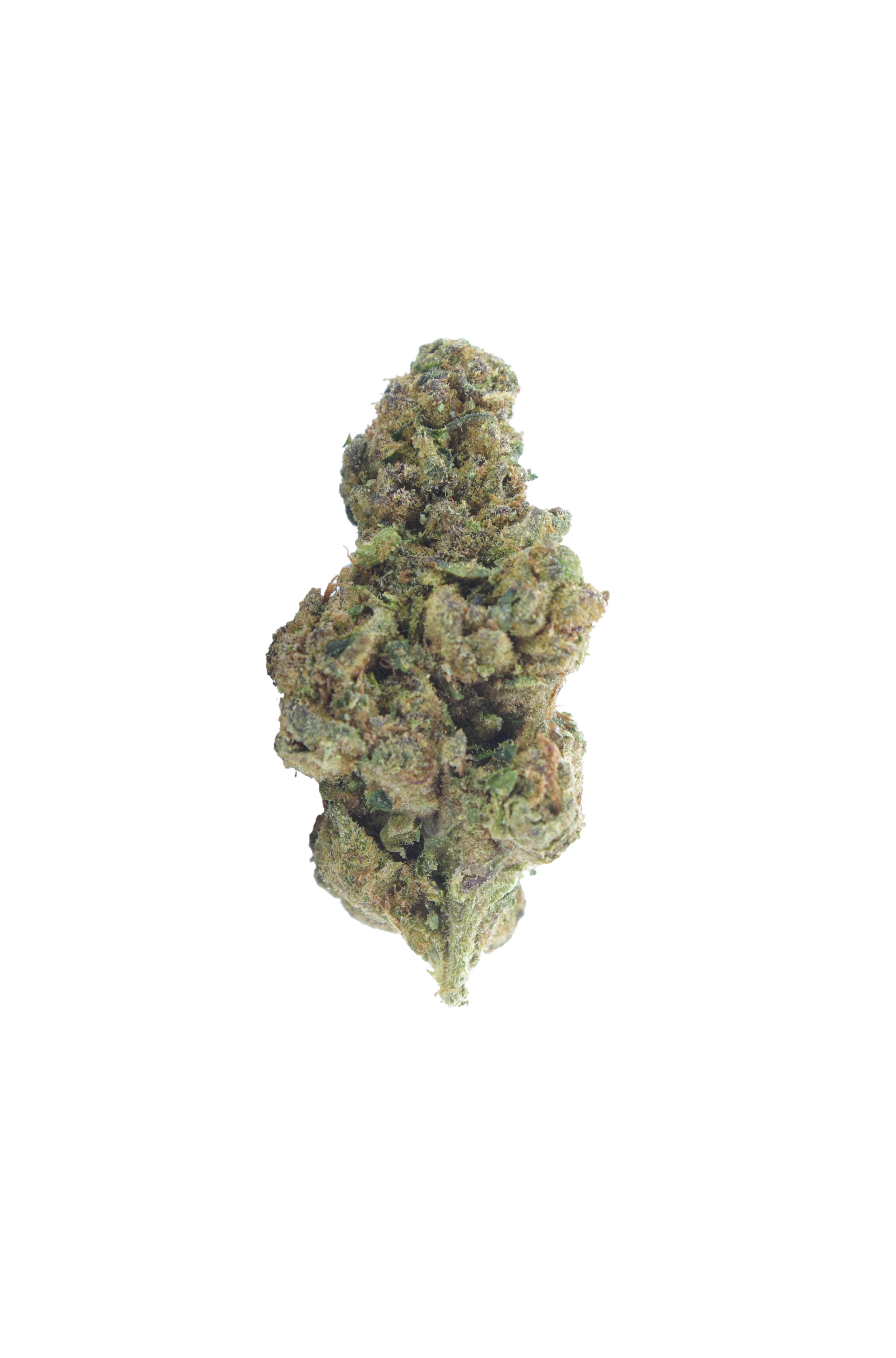 LA Kush (Oz special) Indica anti-anxiety LA Kush (Oz special) Indica anti-anxiety