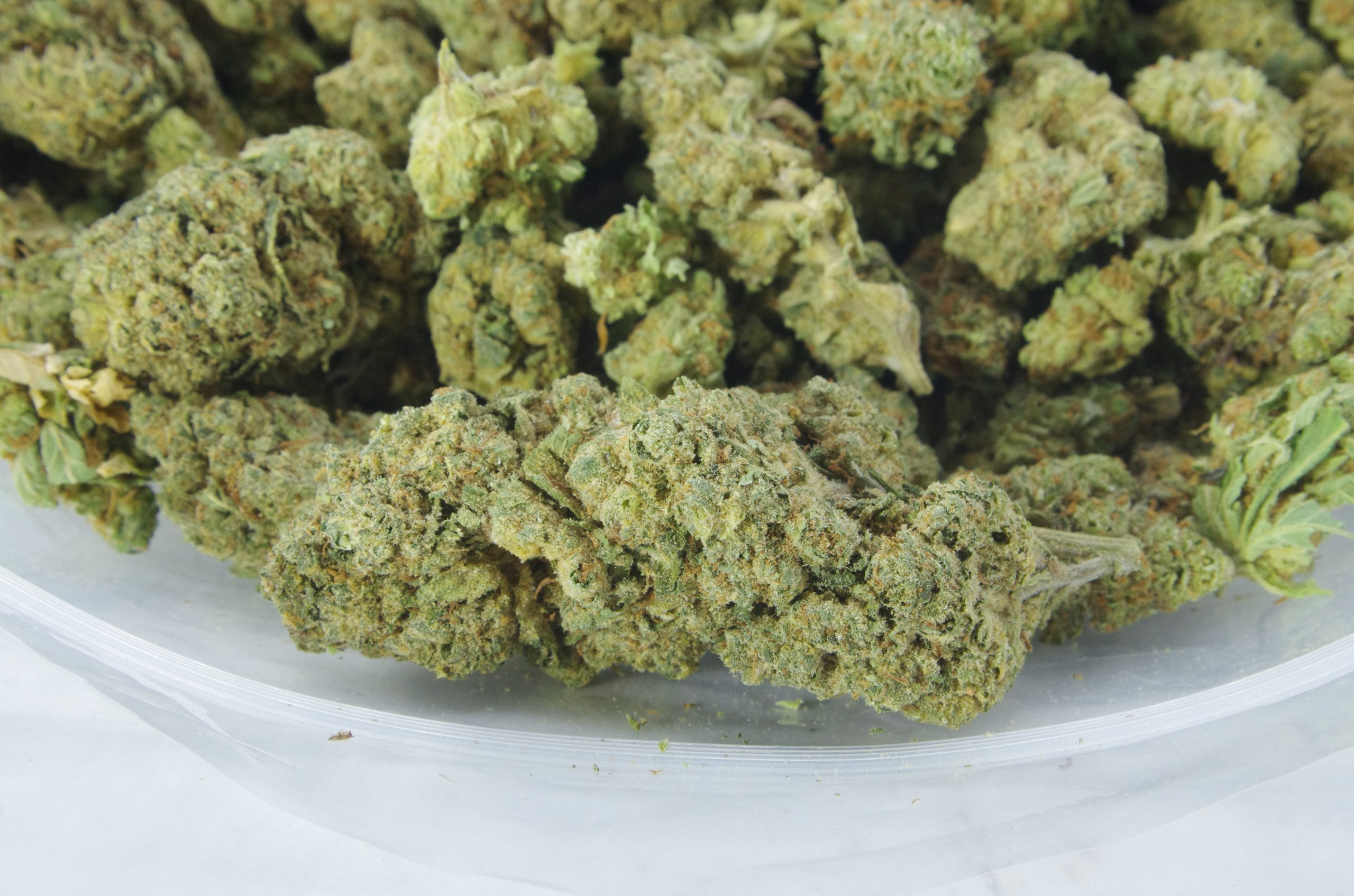 Lemon Berry (Oz Special) Sativa anti-anxiety Lemon Berry (Oz Special) Sativa anti-anxiety