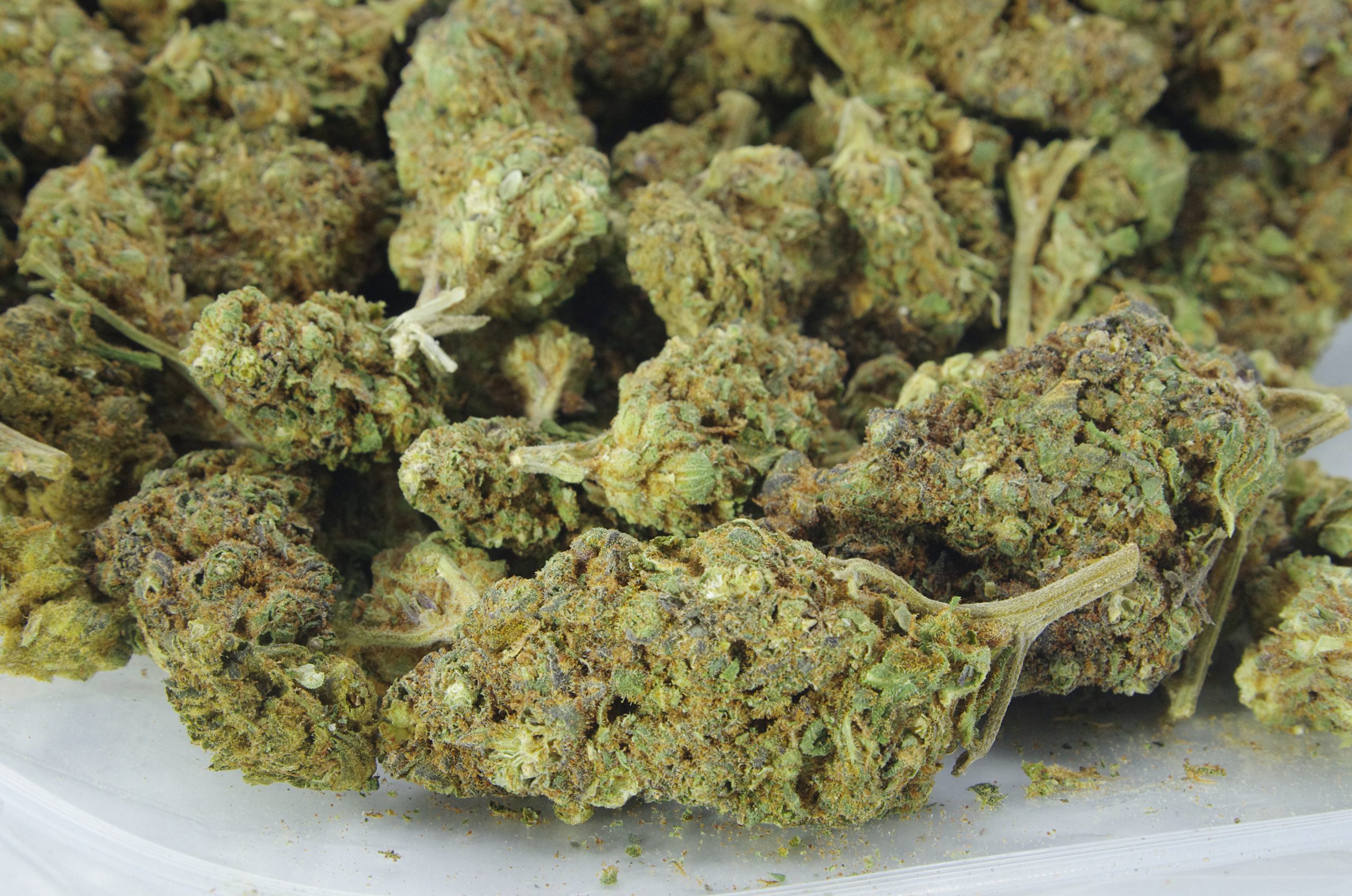 Lemon Cherry Gelato (Oz Special) All Strains anti-anxiety Lemon Cherry Gelato (Oz Special) All Strains anti-anxiety