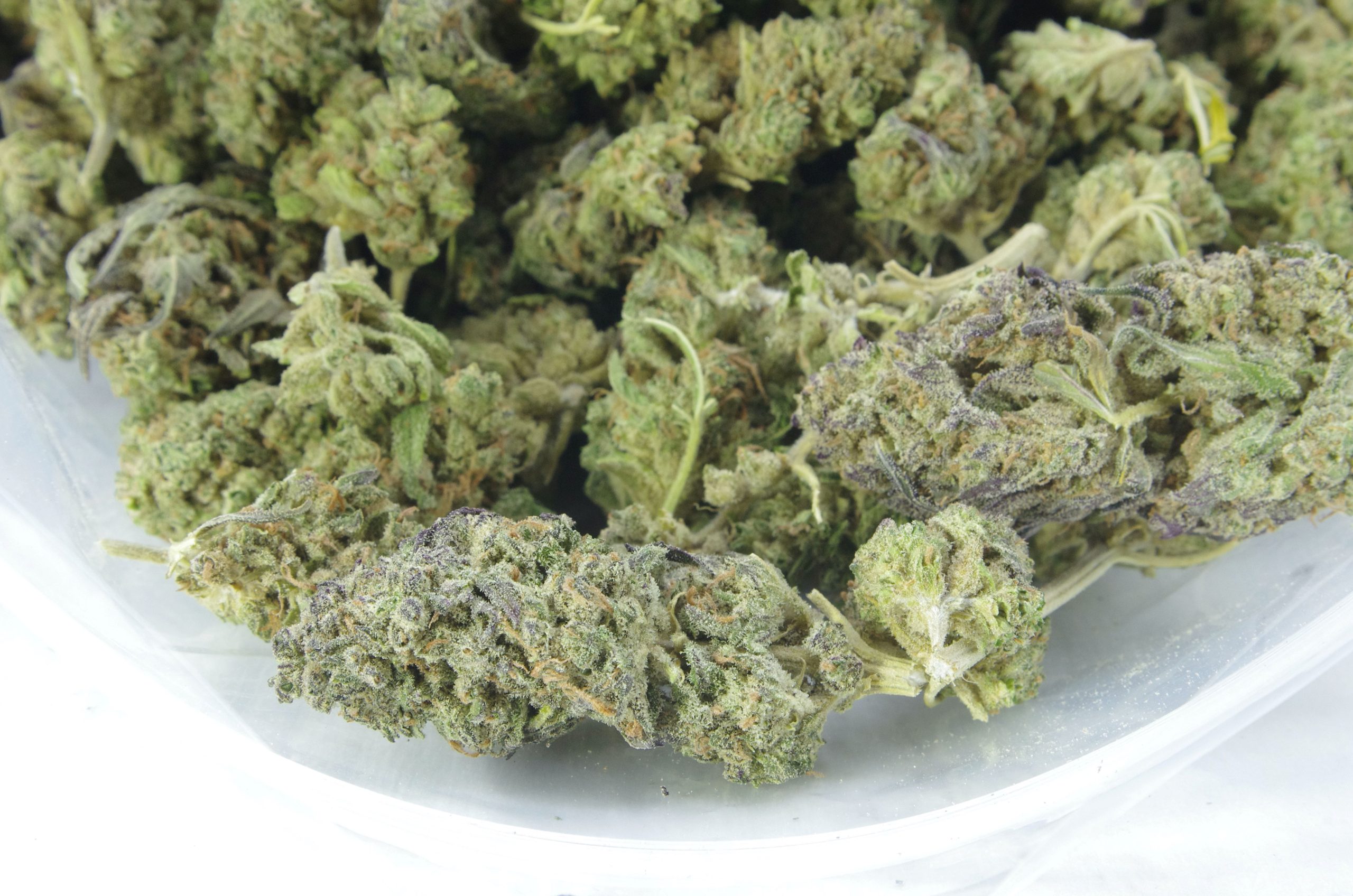 Apricot Kush (Oz Special) All Strains anti-anxiety Apricot Kush (Oz Special) All Strains anti-anxiety