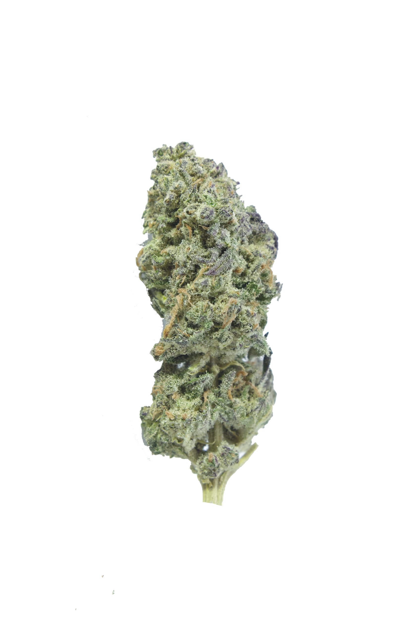 Apricot Kush (Oz Special) All Strains anti-anxiety Apricot Kush (Oz Special) All Strains anti-anxiety