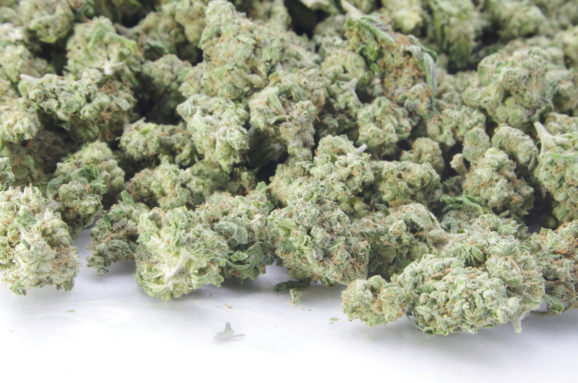 Blue Guava Smalls All Strains anti-anxiety Blue Guava Smalls All Strains anti-anxiety