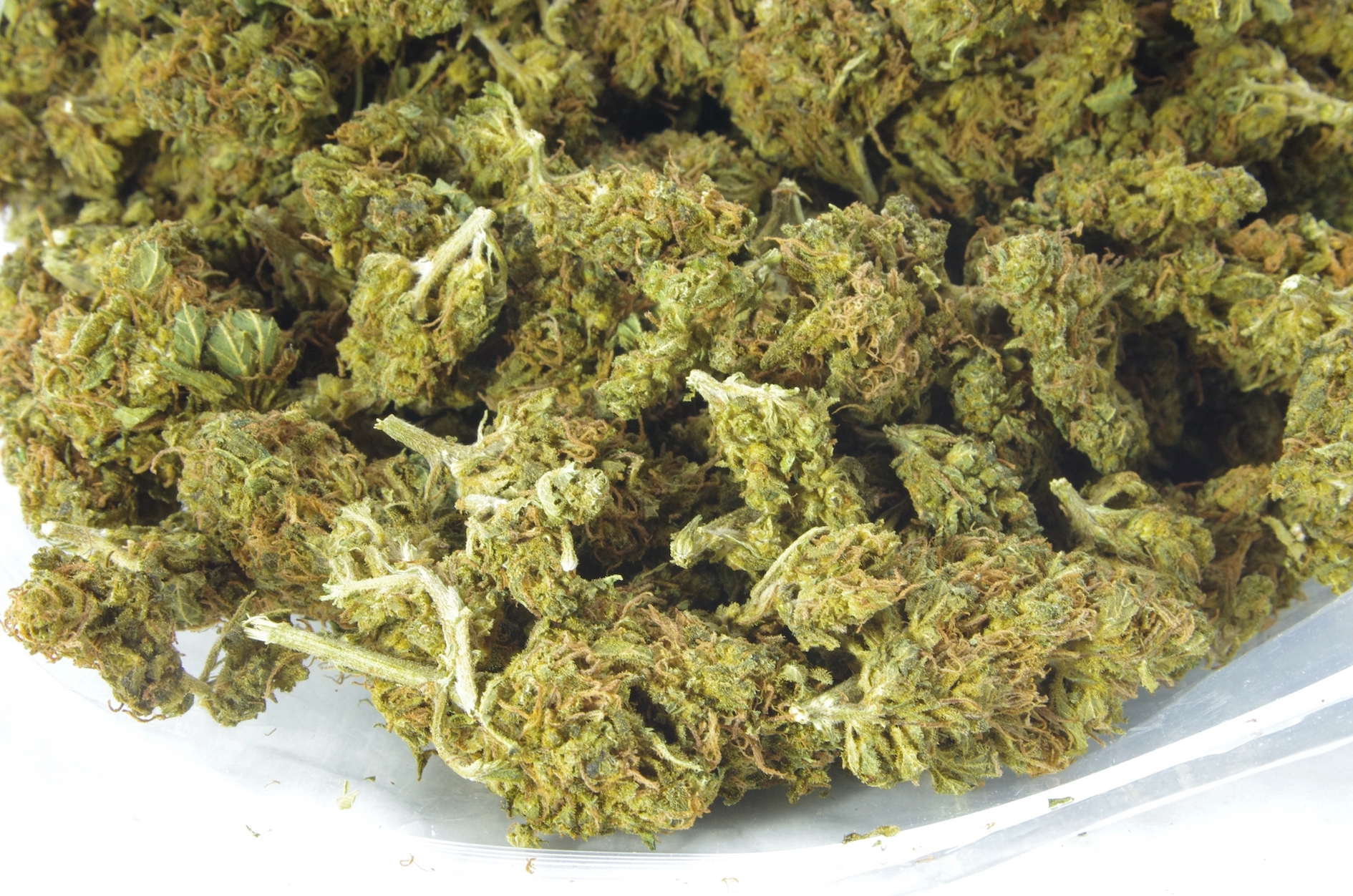 God Bud (Oz Special) Indica anti-anxiety God Bud (Oz Special) Indica anti-anxiety