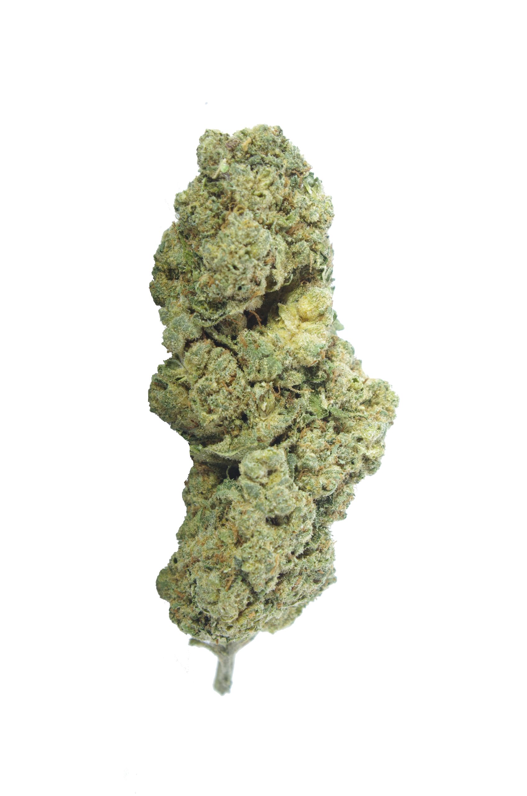 Lemon Berry (Oz Special) Sativa anti-anxiety Lemon Berry (Oz Special) Sativa anti-anxiety