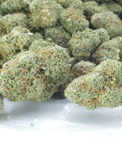 Buy dolato online