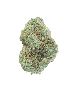 Buy dolato online