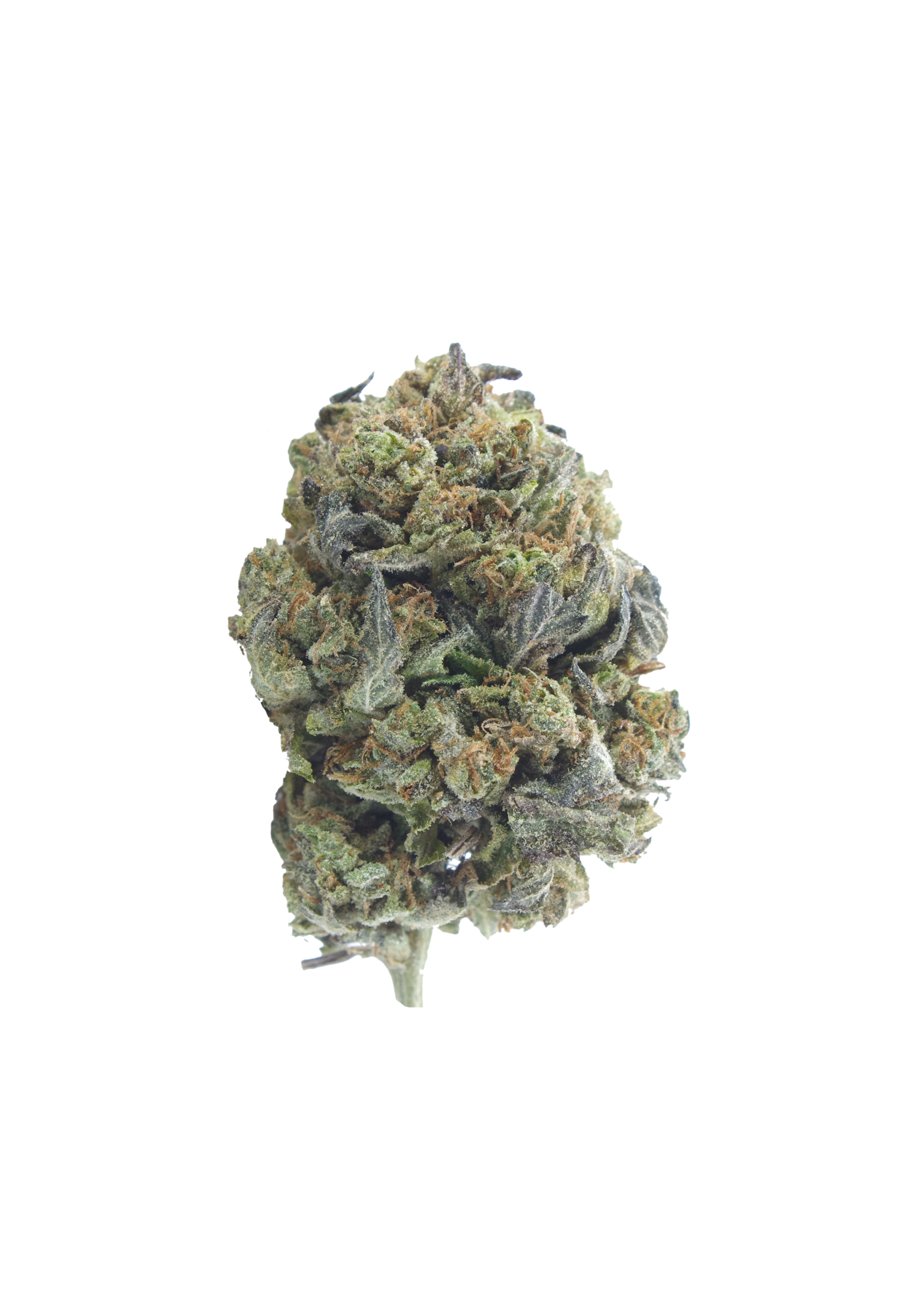 Greasy Tuna (Oz Special) Indica anti-anxiety Greasy Tuna (Oz Special) Indica anti-anxiety