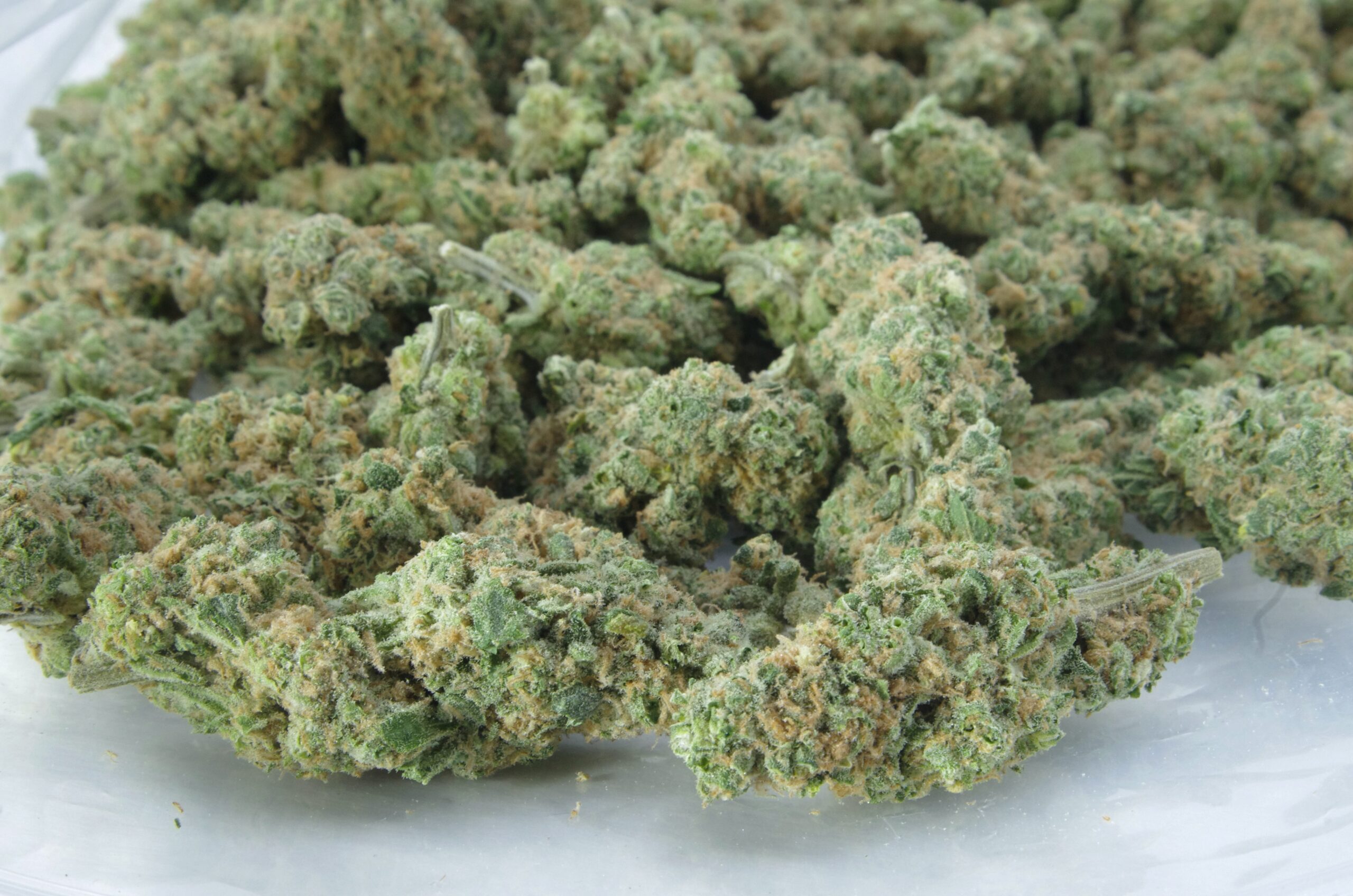 Lemon Haze Sativa Lemon Haze Sativa