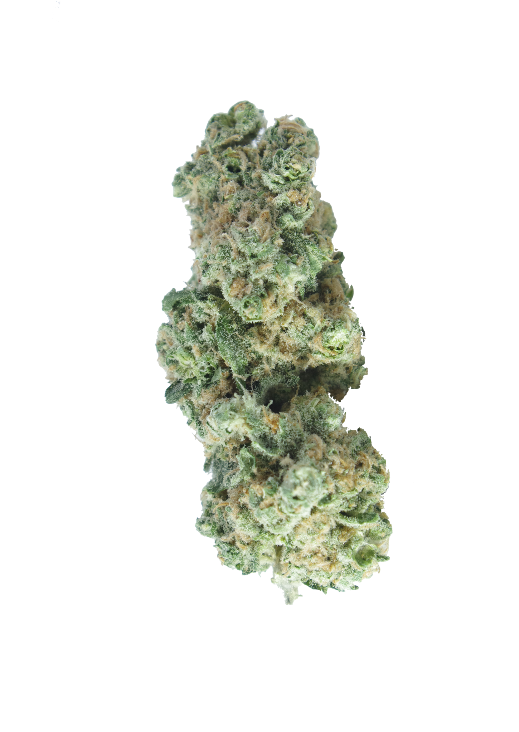 Lemon Haze Sativa Lemon Haze Sativa
