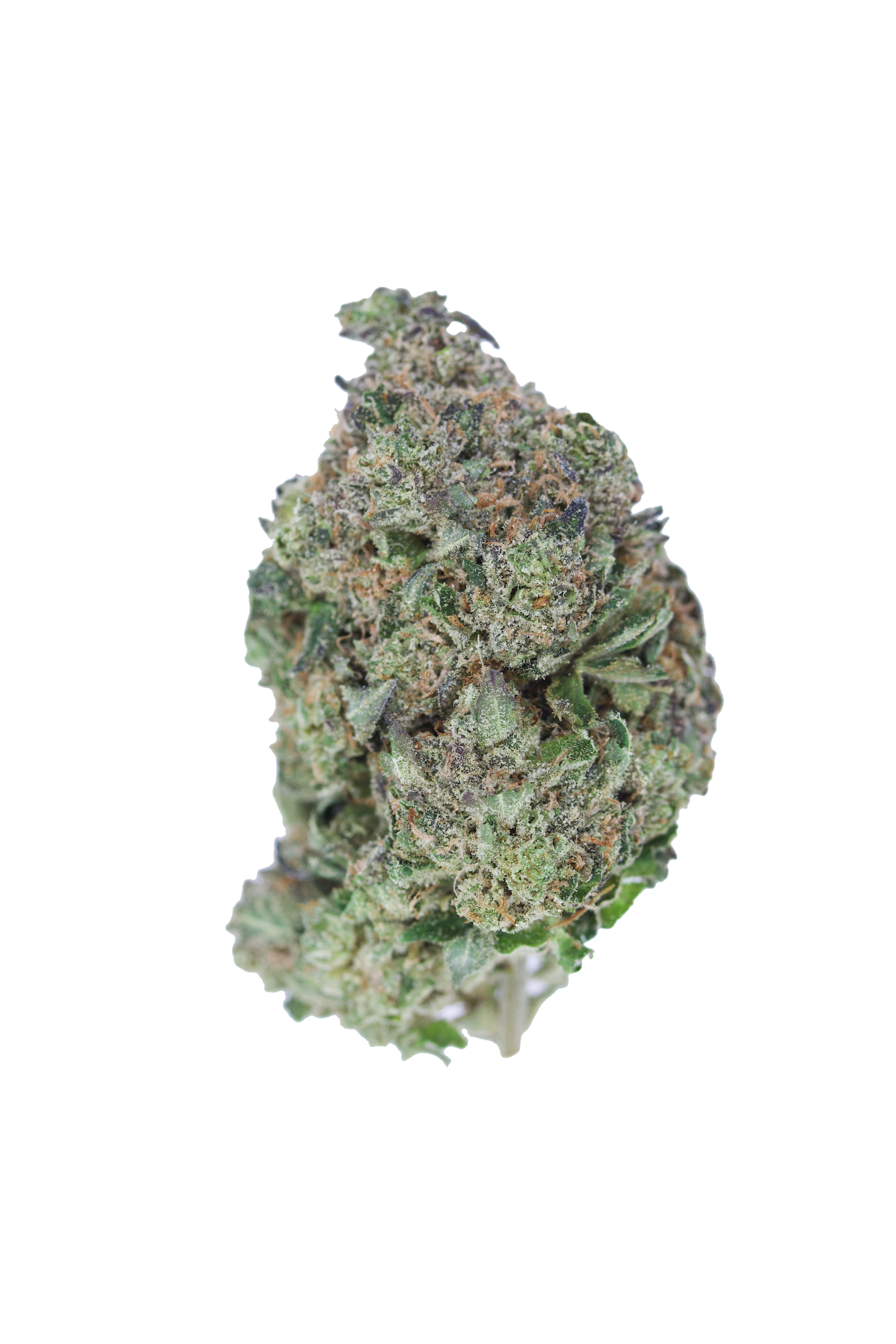 Pink Rockstar (1/2lb) All Strains anxiety Pink Rockstar (1/2lb) All Strains anxiety