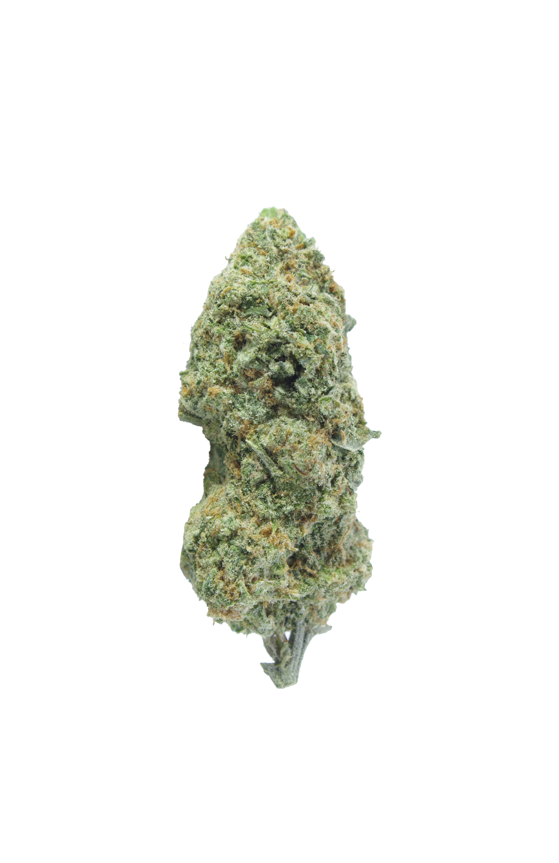 Strawberry Haze (Oz Special) Sativa anti-anxiety Strawberry Haze (Oz Special) Sativa anti-anxiety