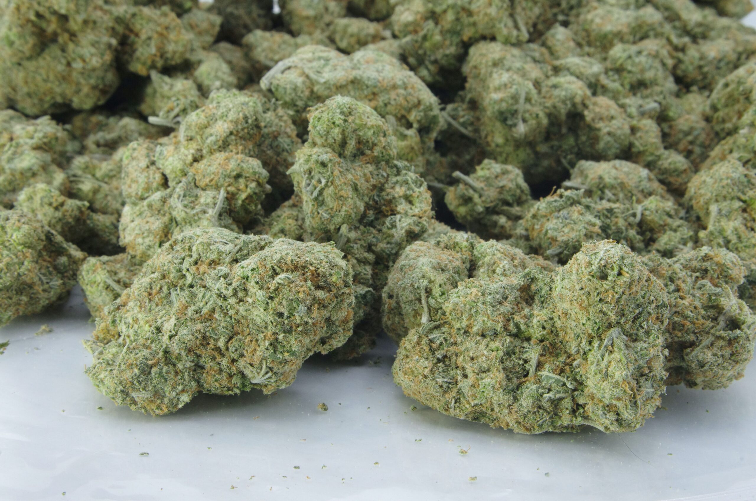 Strawberry Haze (Oz Special) Sativa anti-anxiety Strawberry Haze (Oz Special) Sativa anti-anxiety
