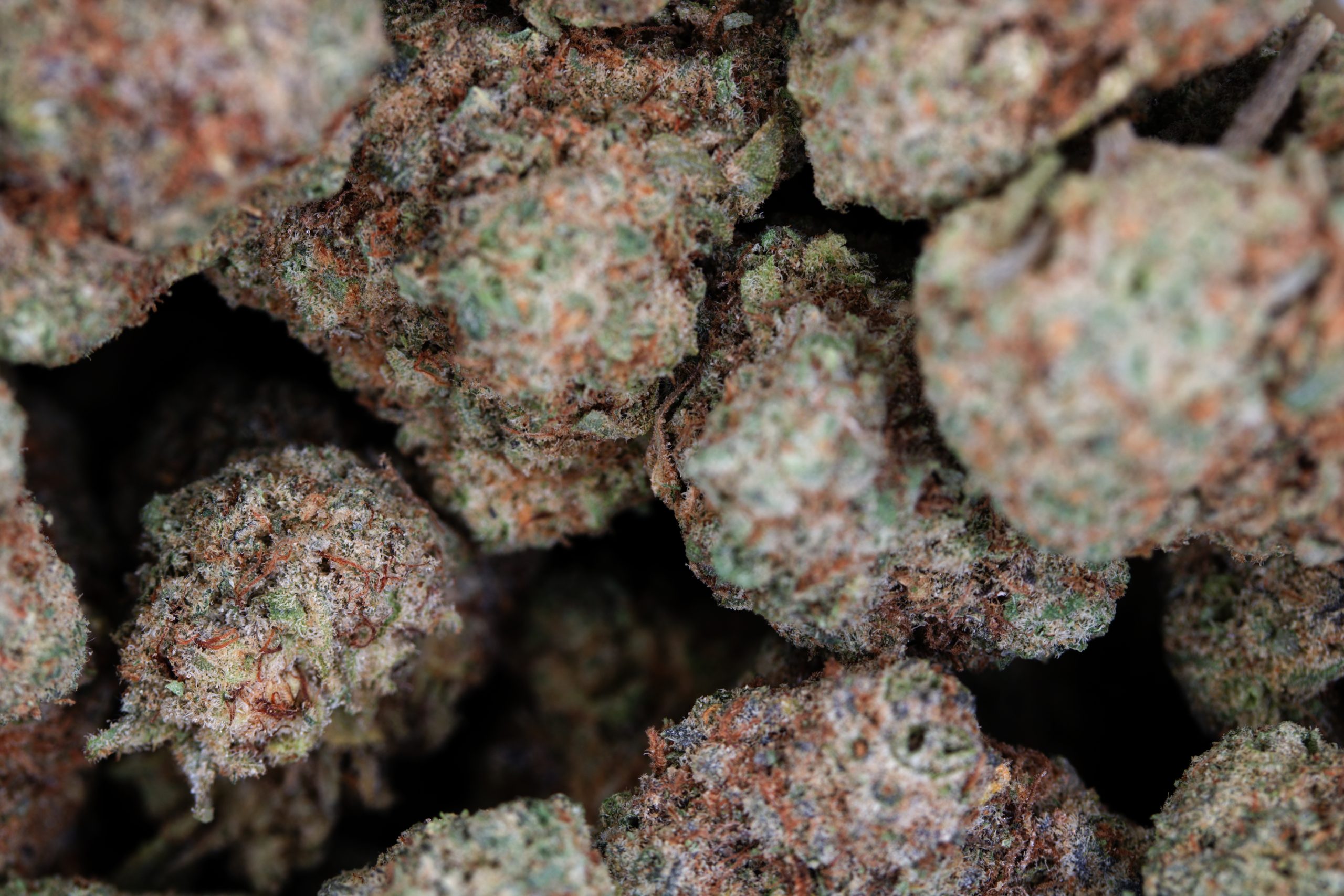 All Gas OG All Strains All Gas OG All Strains