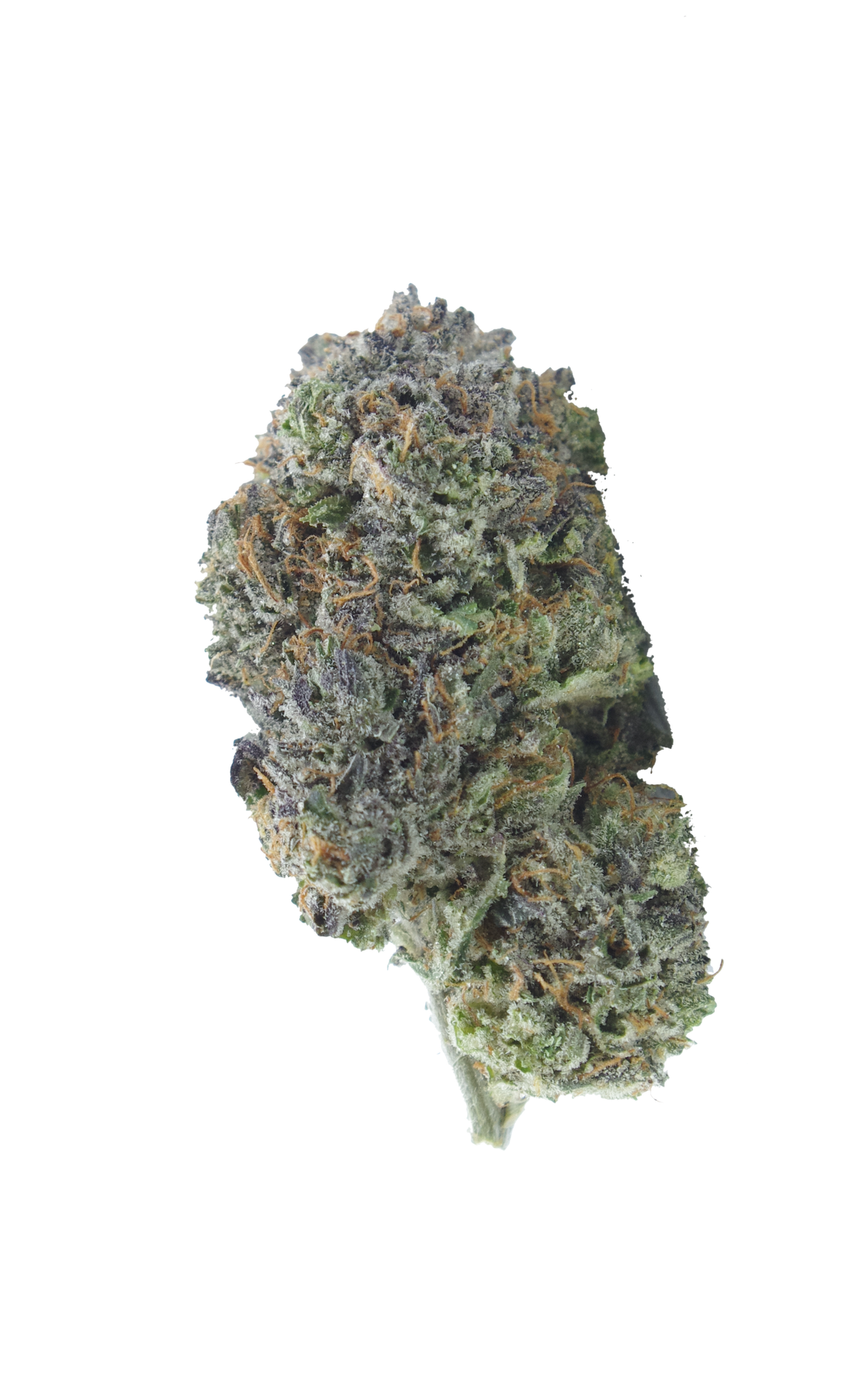 Death Goo (Oz Special) All Strains anti-anxiety Death Goo (Oz Special) All Strains anti-anxiety