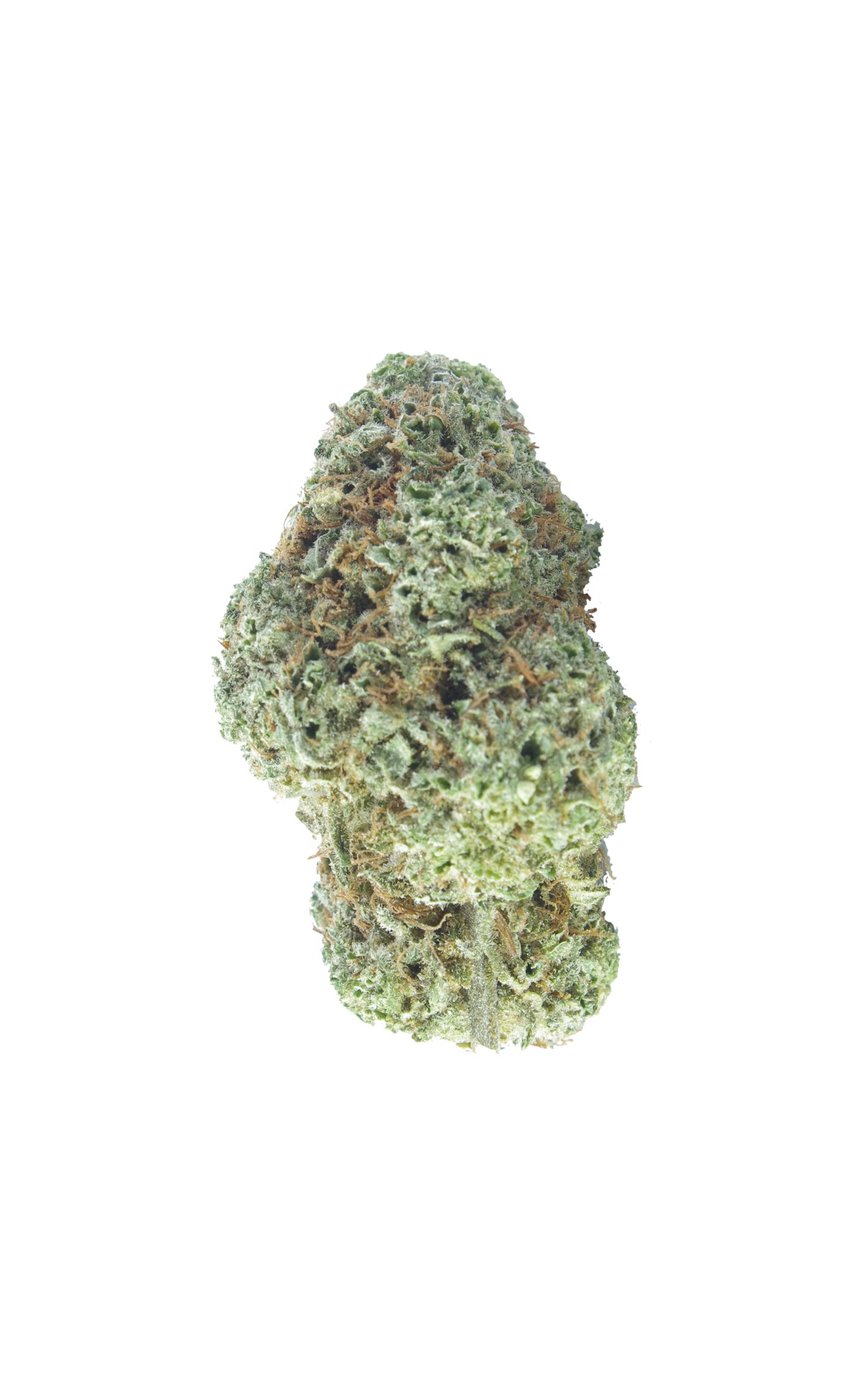 Hawaiian Punch (Oz Special) Sativa anti-anxiety Hawaiian Punch (Oz Special) Sativa anti-anxiety