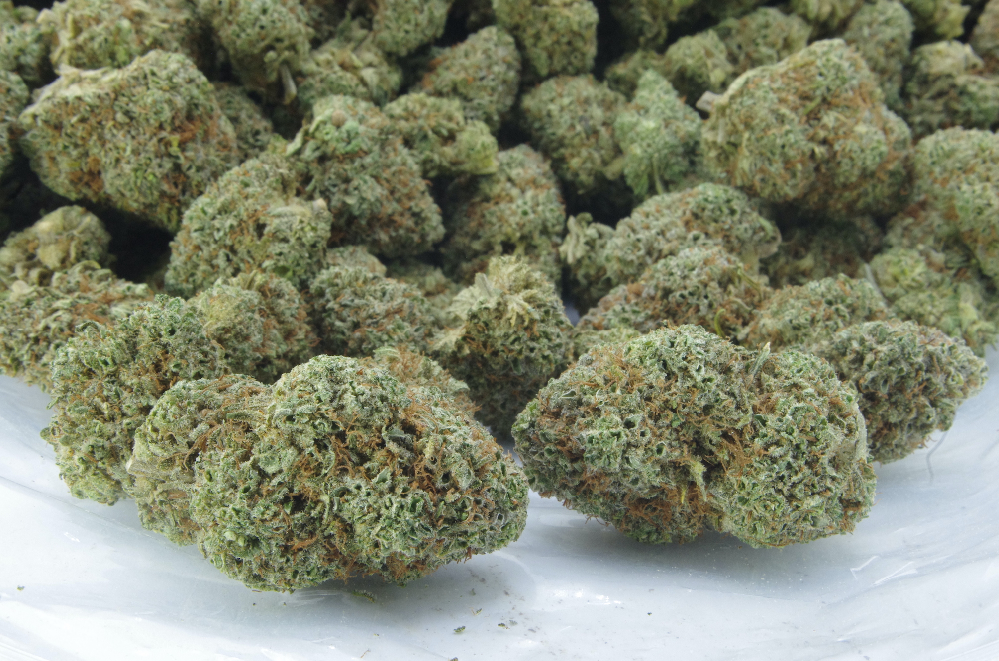 Hawaiian Punch (Oz Special) Sativa anti-anxiety Hawaiian Punch (Oz Special) Sativa anti-anxiety