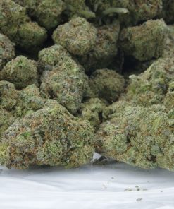 Buy La Ultra Online