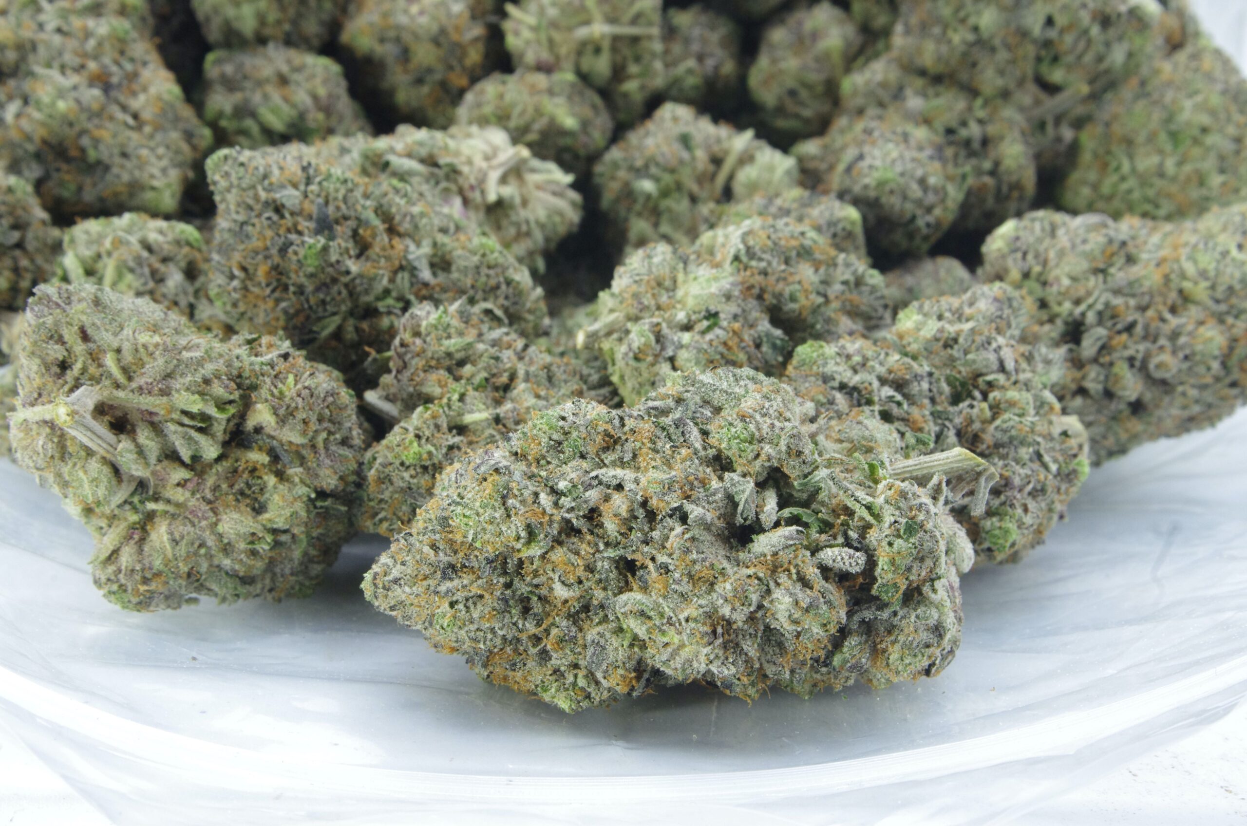 Predator Pink (Oz special) Indica anti-anxiety Predator Pink (Oz special) Indica anti-anxiety