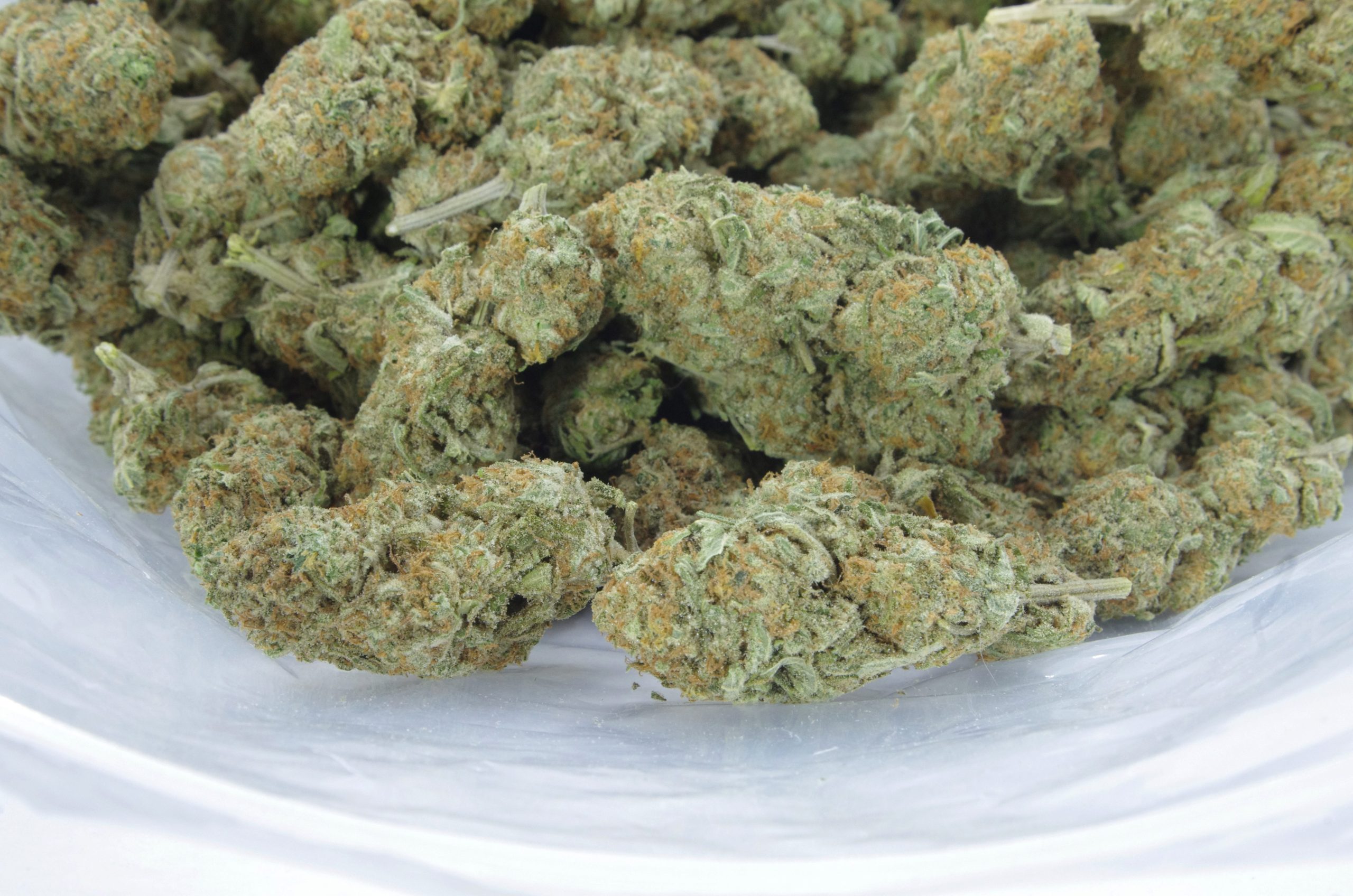 Sundae Sunset (Oz Special) All Strains Sundae Sunset (Oz Special) All Strains
