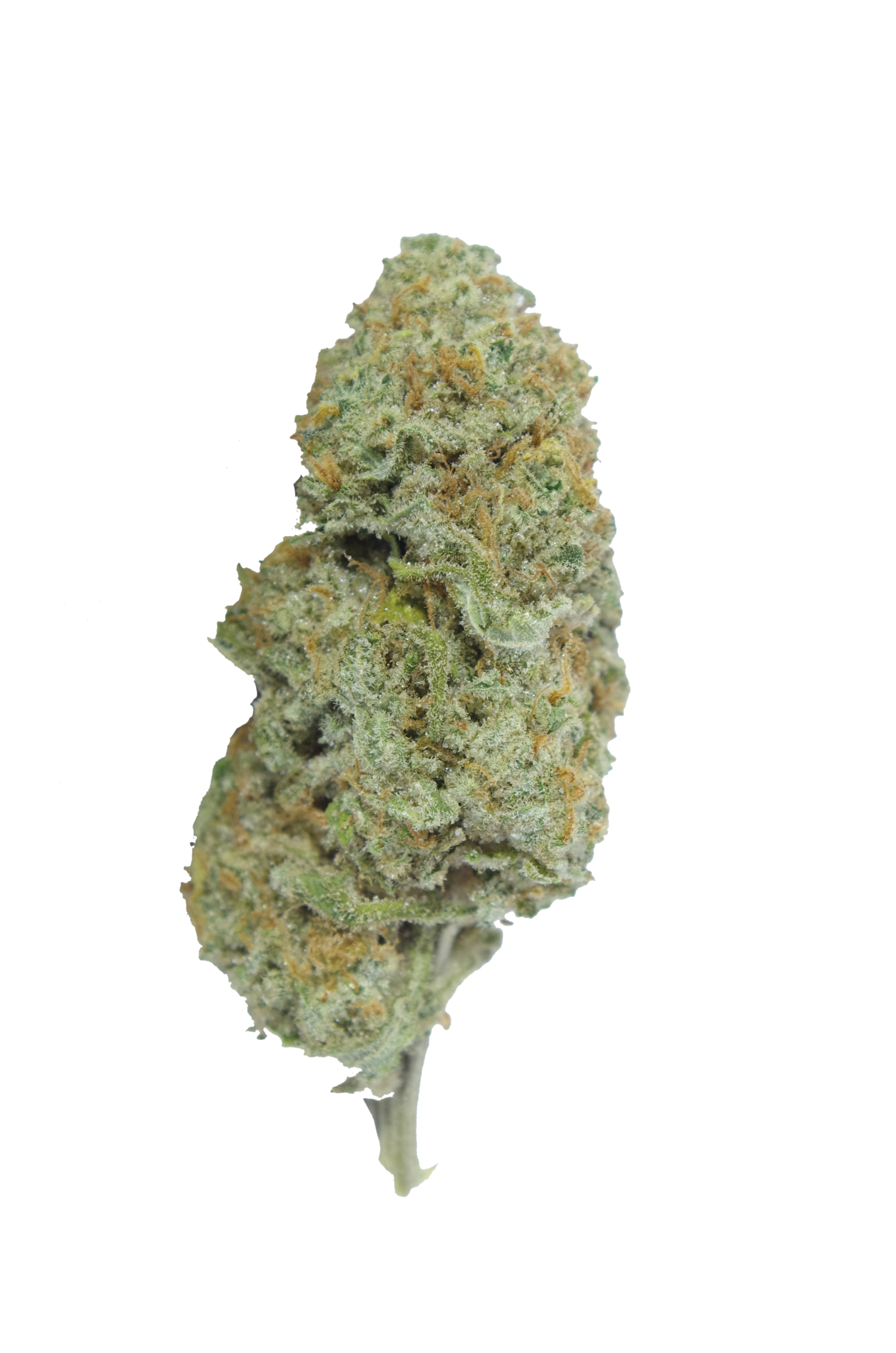 Sundae Sunset (Oz Special) All Strains Sundae Sunset (Oz Special) All Strains
