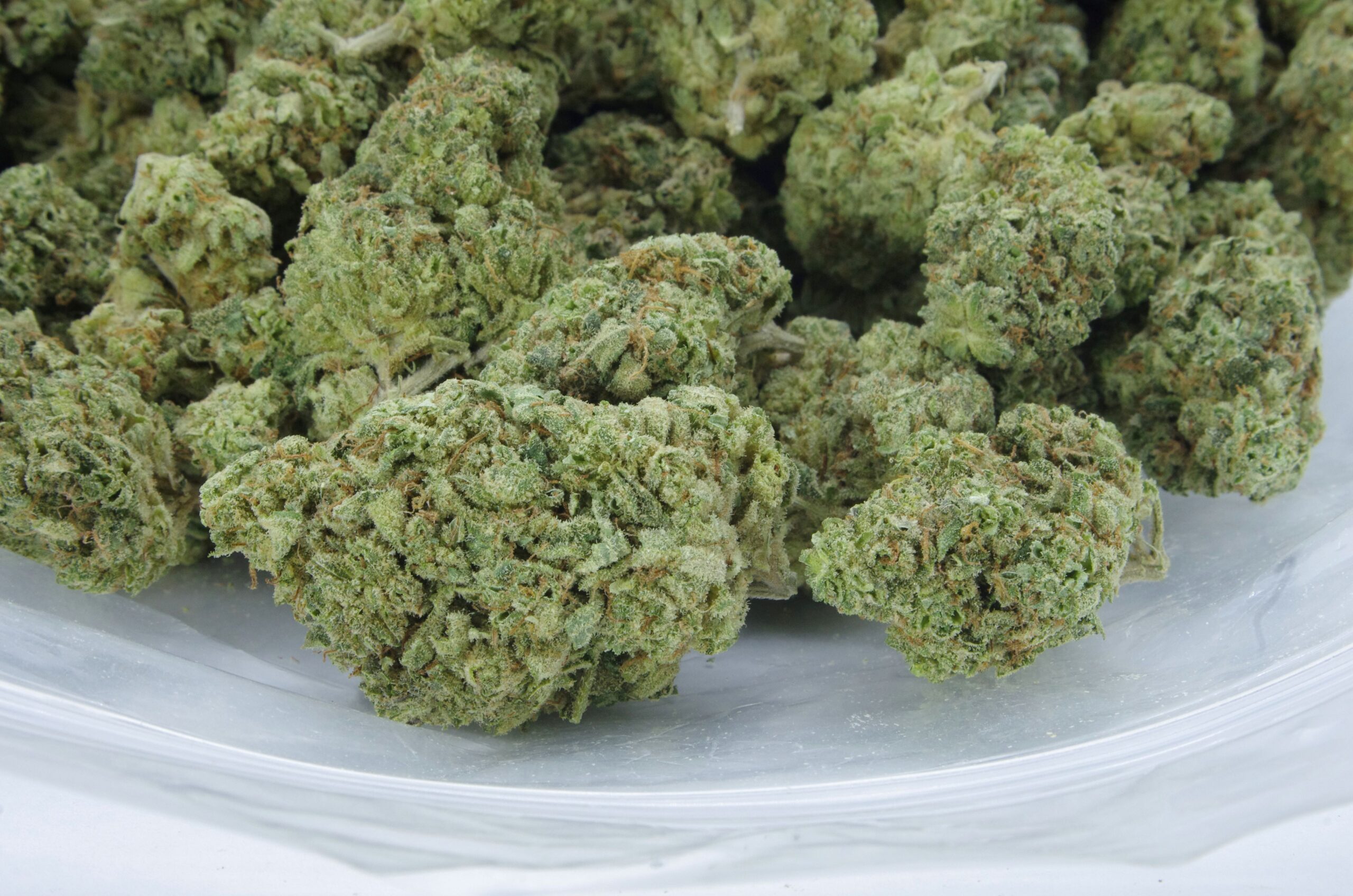 AK-47 (Oz special) Sativa AK-47 (Oz special) Sativa
