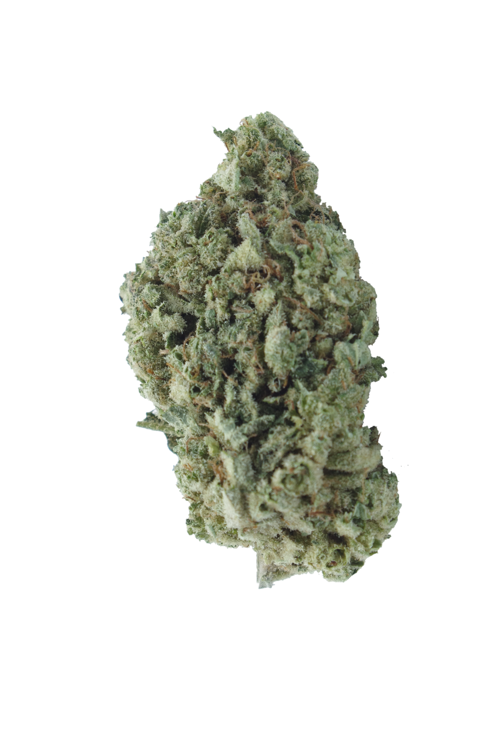 AK-47 (Oz special) Sativa AK-47 (Oz special) Sativa