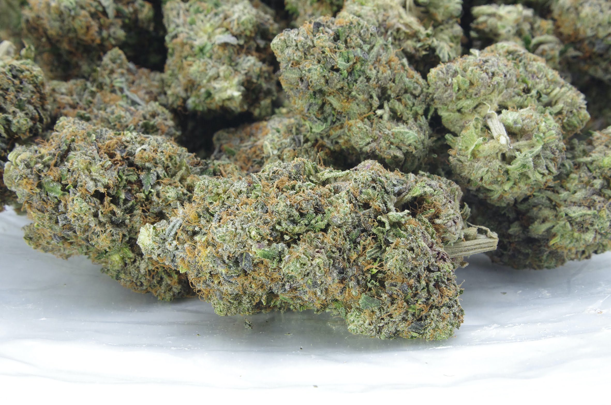 Death Goo (3.5G) Indica anti-anxiety Death Goo (3.5G) Indica anti-anxiety