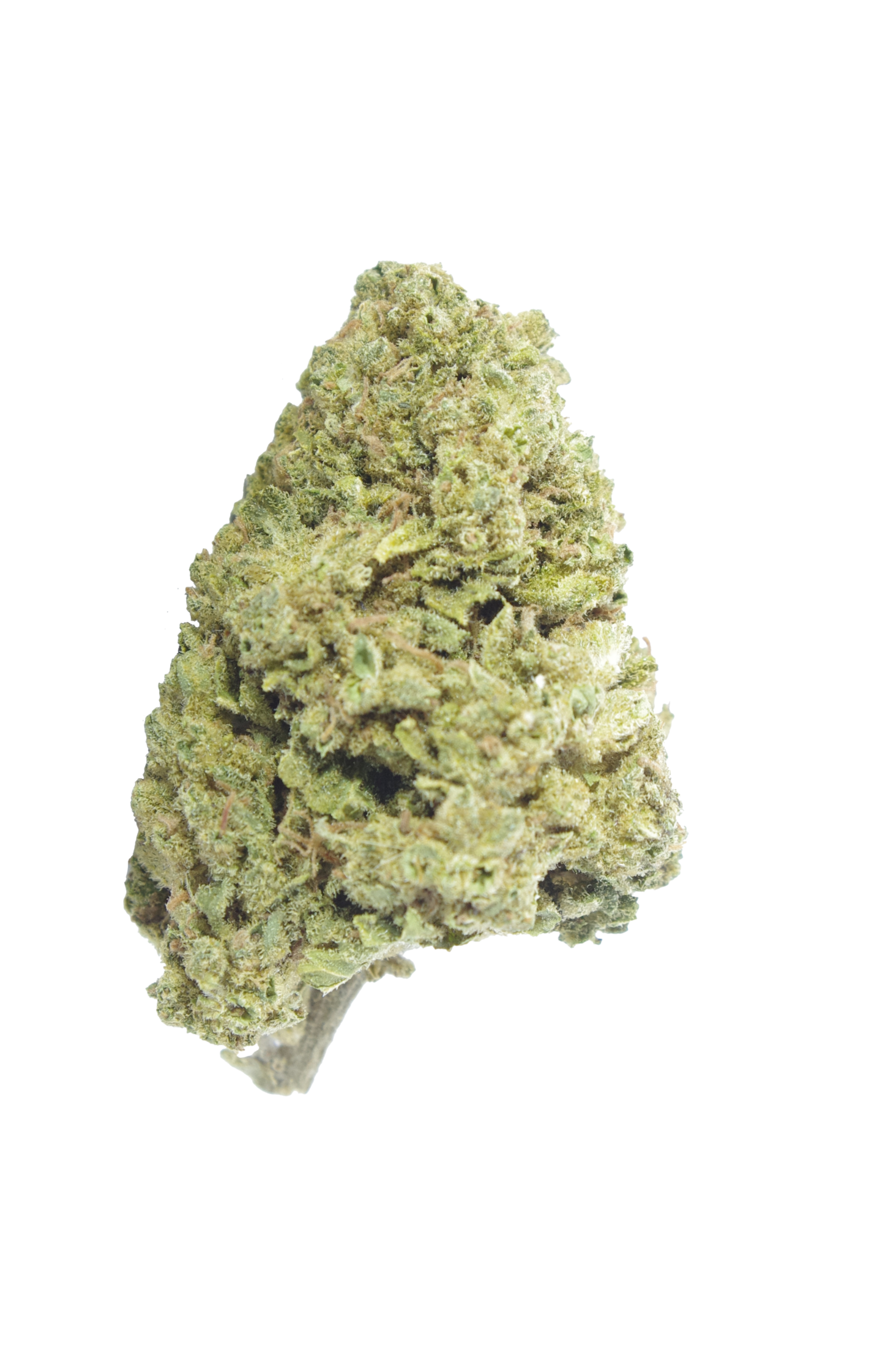 Rainbow Driver (Oz Special) All Strains Rainbow Driver (Oz Special) All Strains