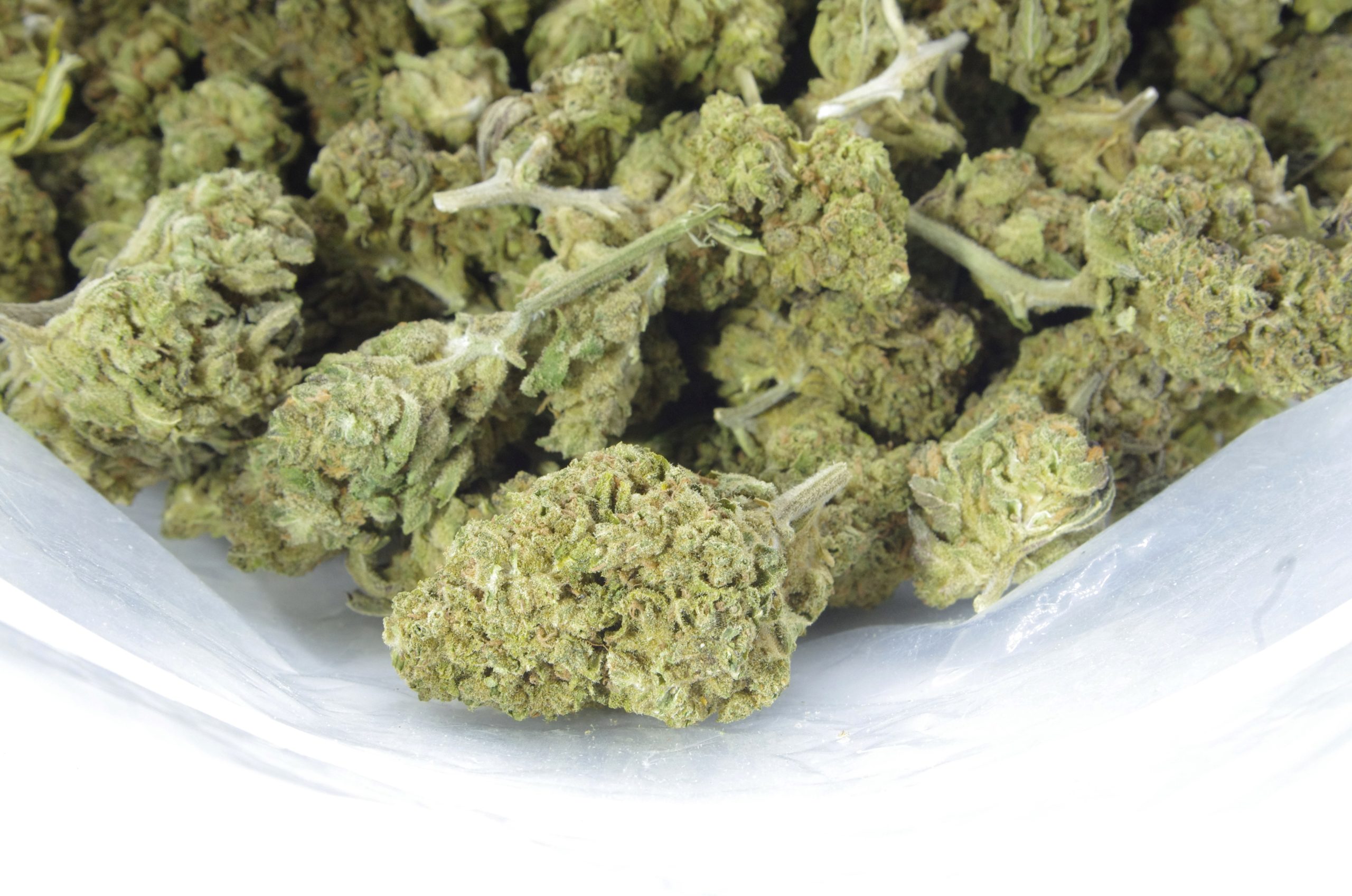 Rainbow Driver (Oz Special) All Strains Rainbow Driver (Oz Special) All Strains